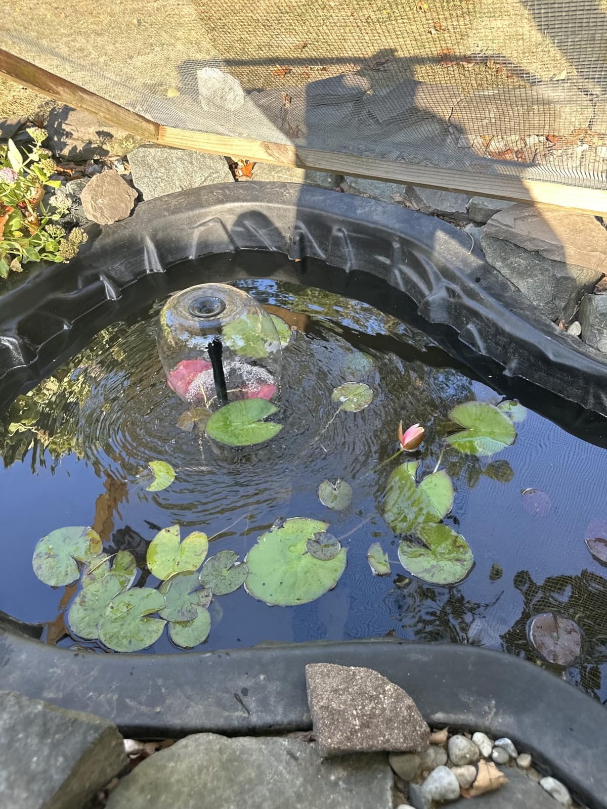 pond boss Medium Filter Kit with Pump for Ponds and Water Features customer photo 1