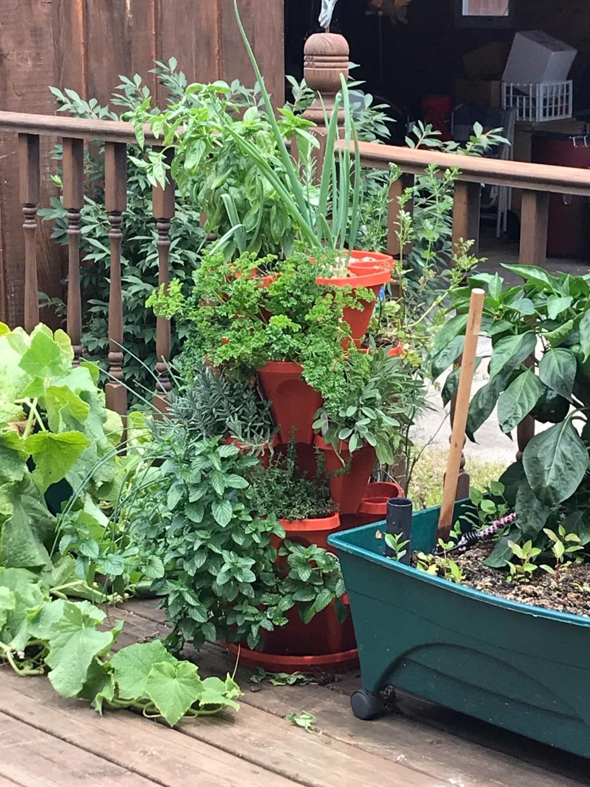 5 Tier Stackable Strawberry, Herb, Flower, and Vegetable Planter - Vertical Garden Indoor/Outdoor customer photo 2