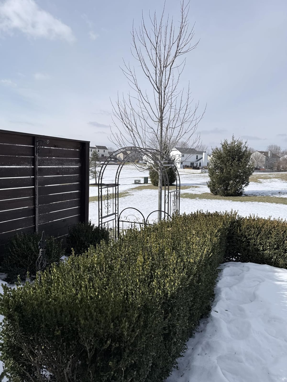 Plow & Hearth Arch Metal Outdoor Garden Arbor Double Gate | Montebello | 7 Feet Tall | Gunmetal Black | Steel Iron Trellis Lattice Climbing Plants & Heavy Vines customer photo 1