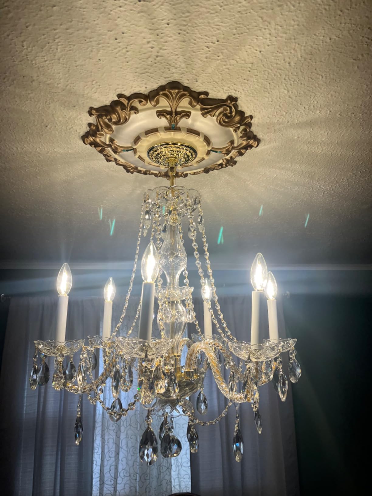 Ekena Millwork CM18RL 18-Inch OD x 3 1/2-Inch ID x 1 1/2-Inch Riley Ceiling Medallion customer photo 1