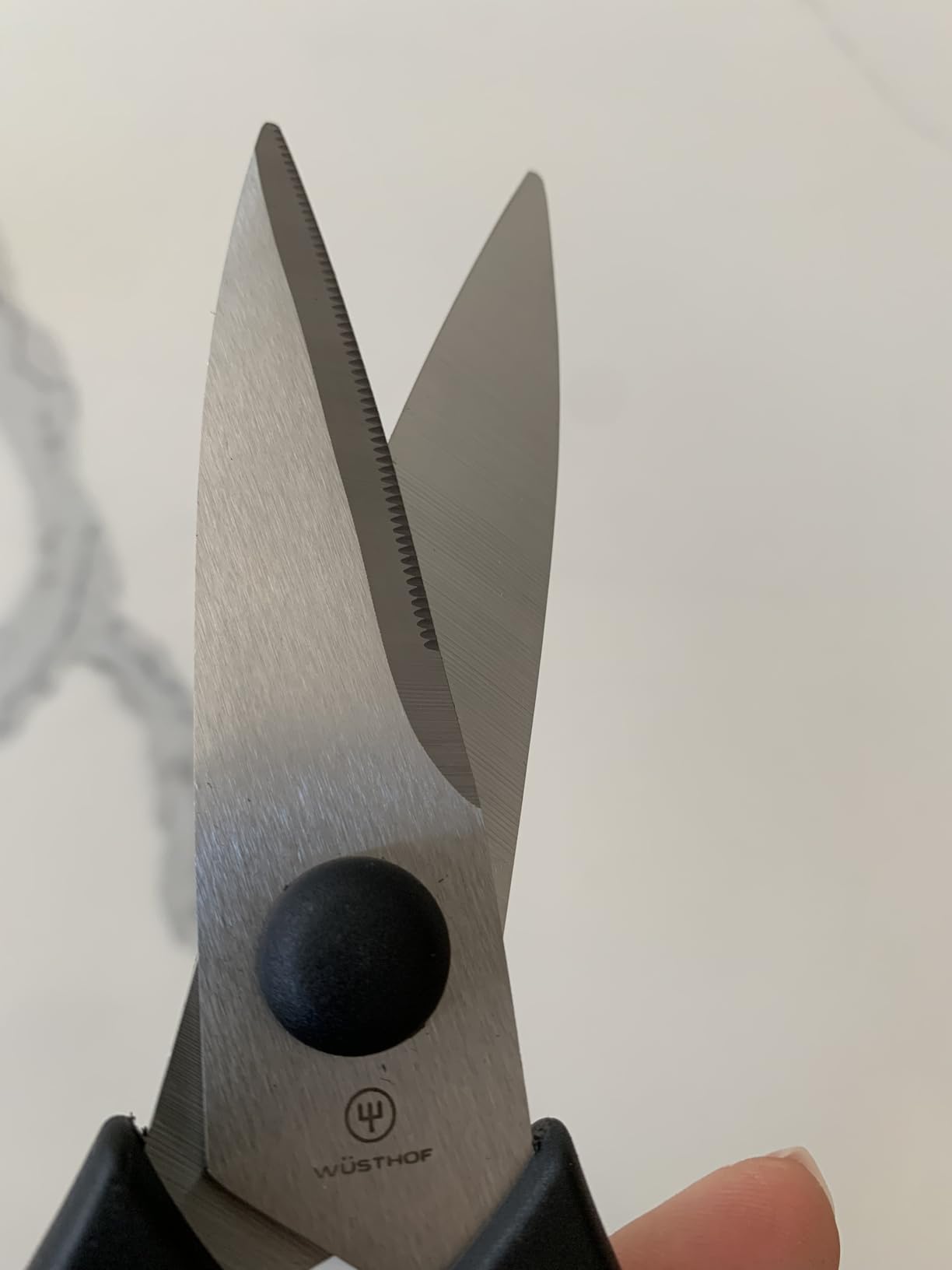 WÜSTHOF Come Apart Kitchen Shears customer photo 1