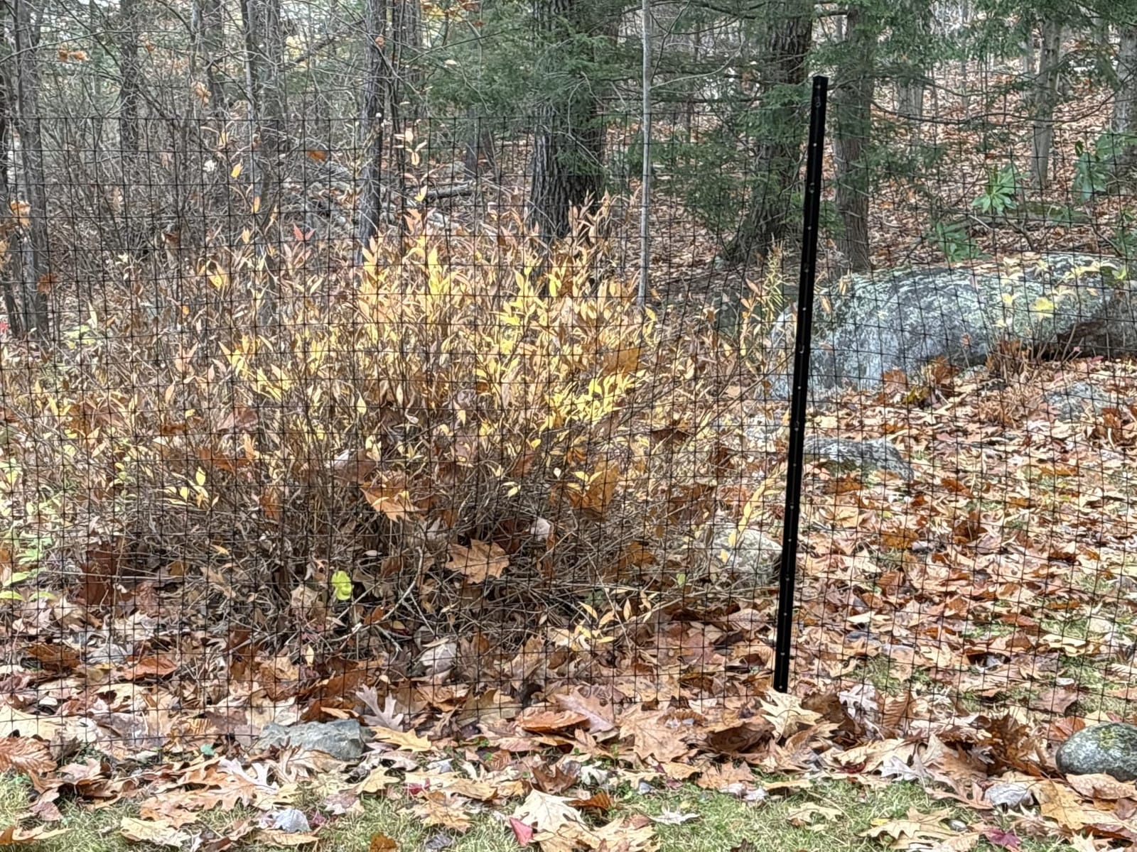 Tenax 2A140073 Pet Fence Select Pet Fence, Black, 4' x 100' customer photo 2