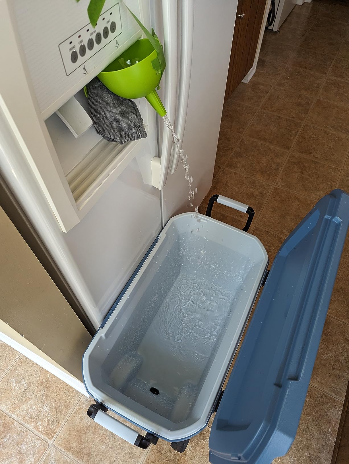 everydrop by Whirlpool Ice & Water Refrigerator Filter 3, Aqua, EDR3RXD1 customer photo 2