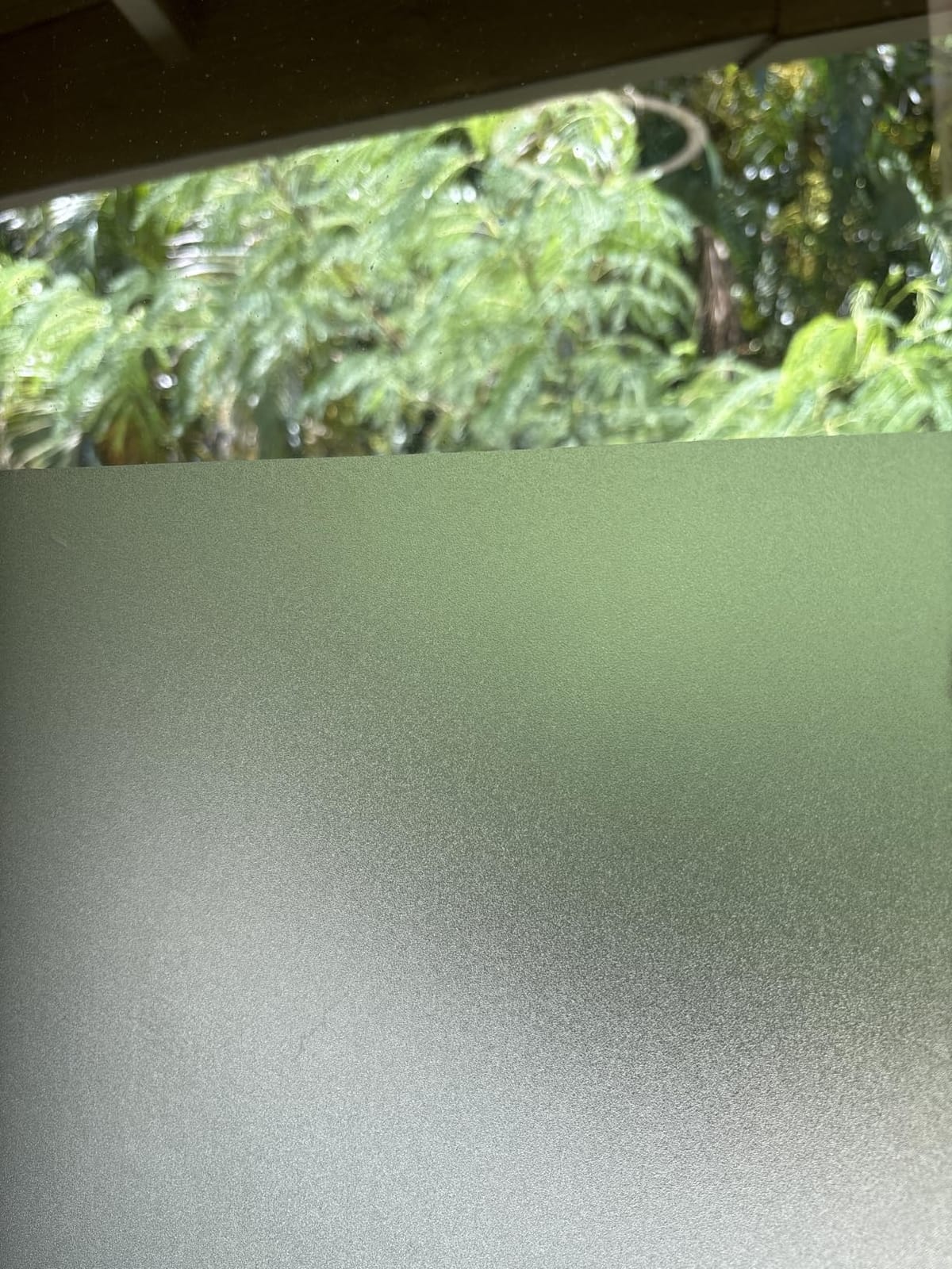 Coavas Frosted Glass Window Privacy Film, Static Cling, 17.5