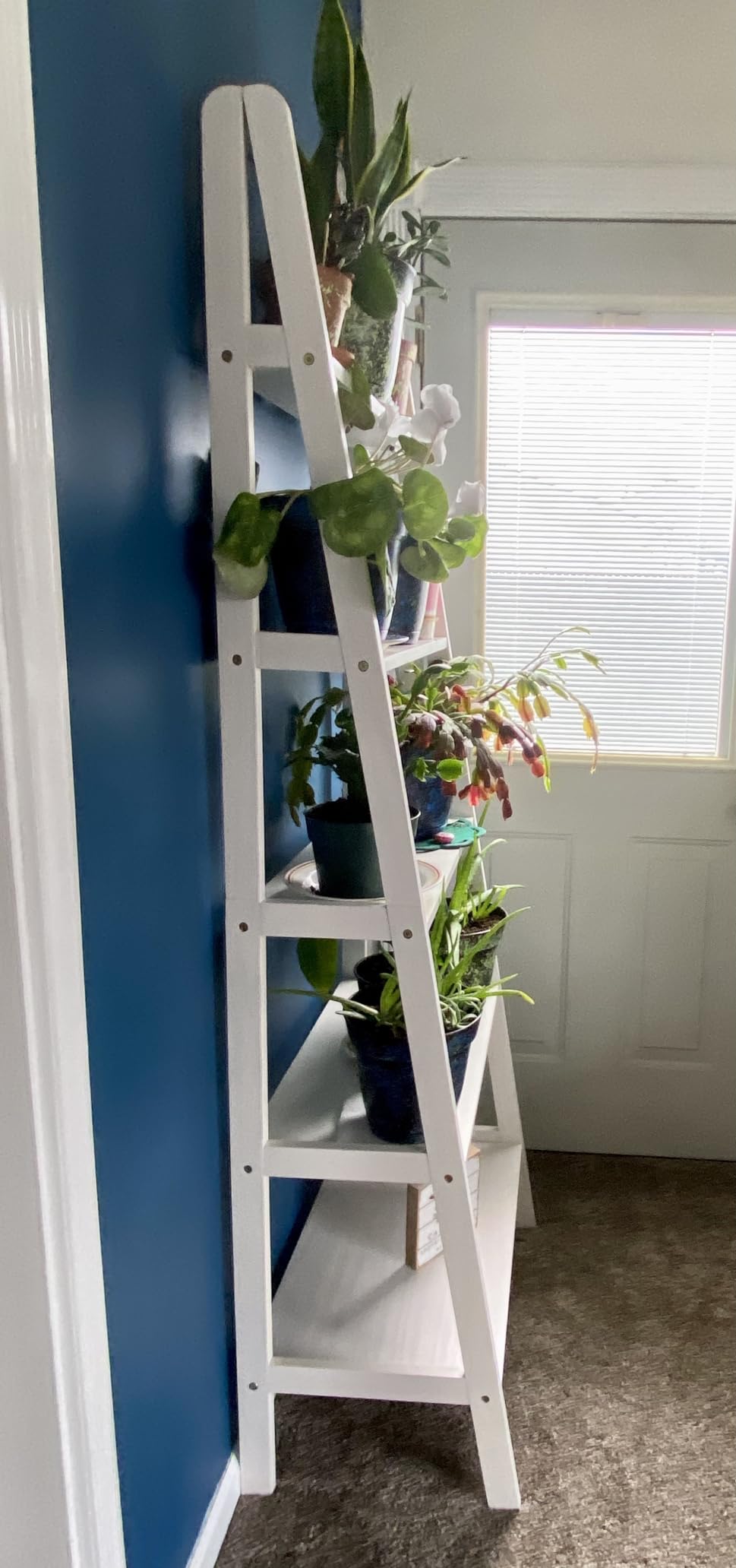 Casual Home 100% Solid Wood 5-Shelf Ladder Bookcase, Standard, 72