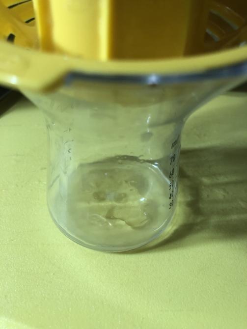 OXO Good Grips Small Citrus Juicer customer photo 2