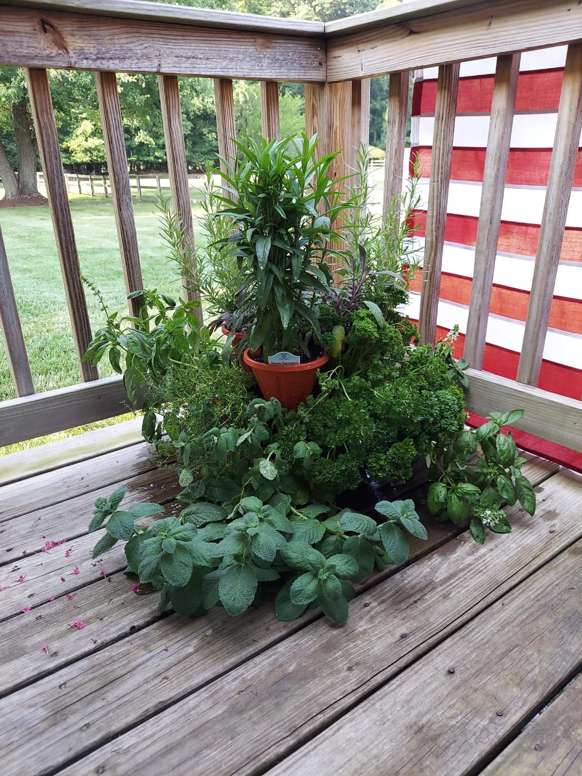Stacking Planter Tower- 3-Tier Space Saving Flower Pots- Set of 3 Indoor/Outdoor Vertical Herb & Vegetable Garden by Pure Garden (Terracotta Colored) customer photo 1