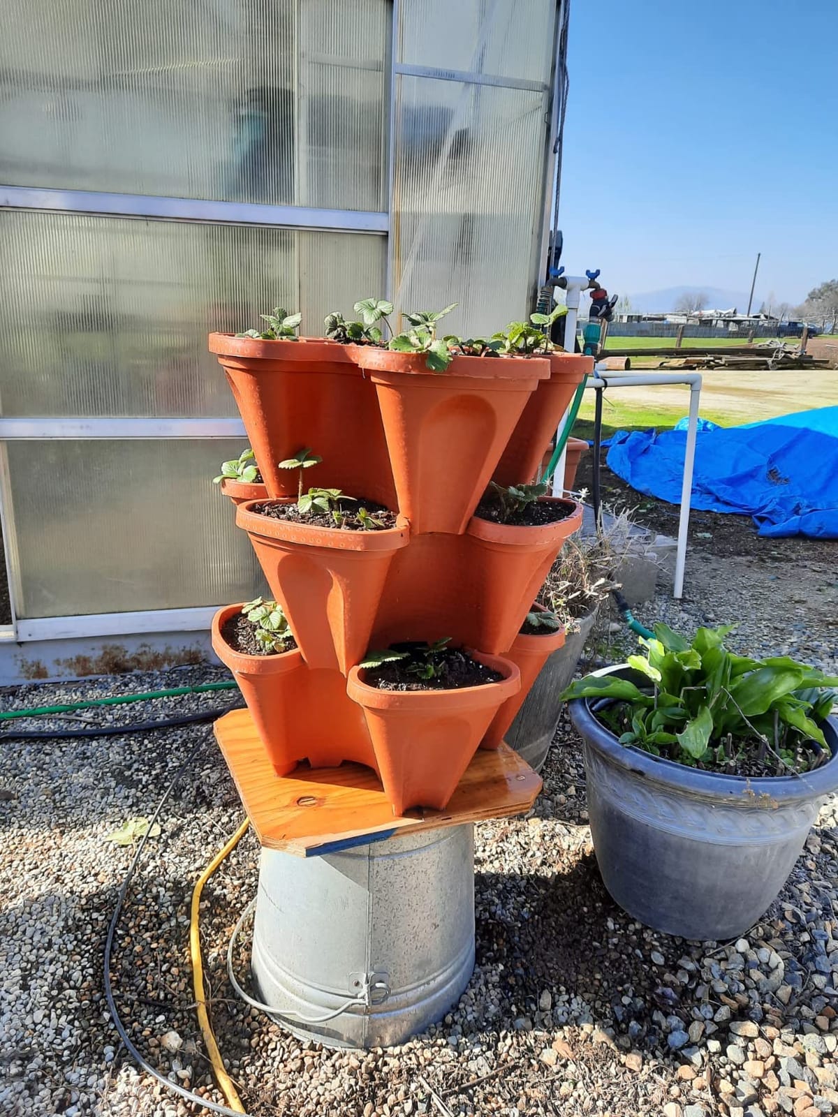 LARGE 64 Quart Stackable Planter 5-Pack - Grow More In Less Space - Plant Pots and Stack - DIY Vertical Gardening System - For Growing Veggies, Herbs, Garden Greens, Starwberries (Terracotta) customer photo 1