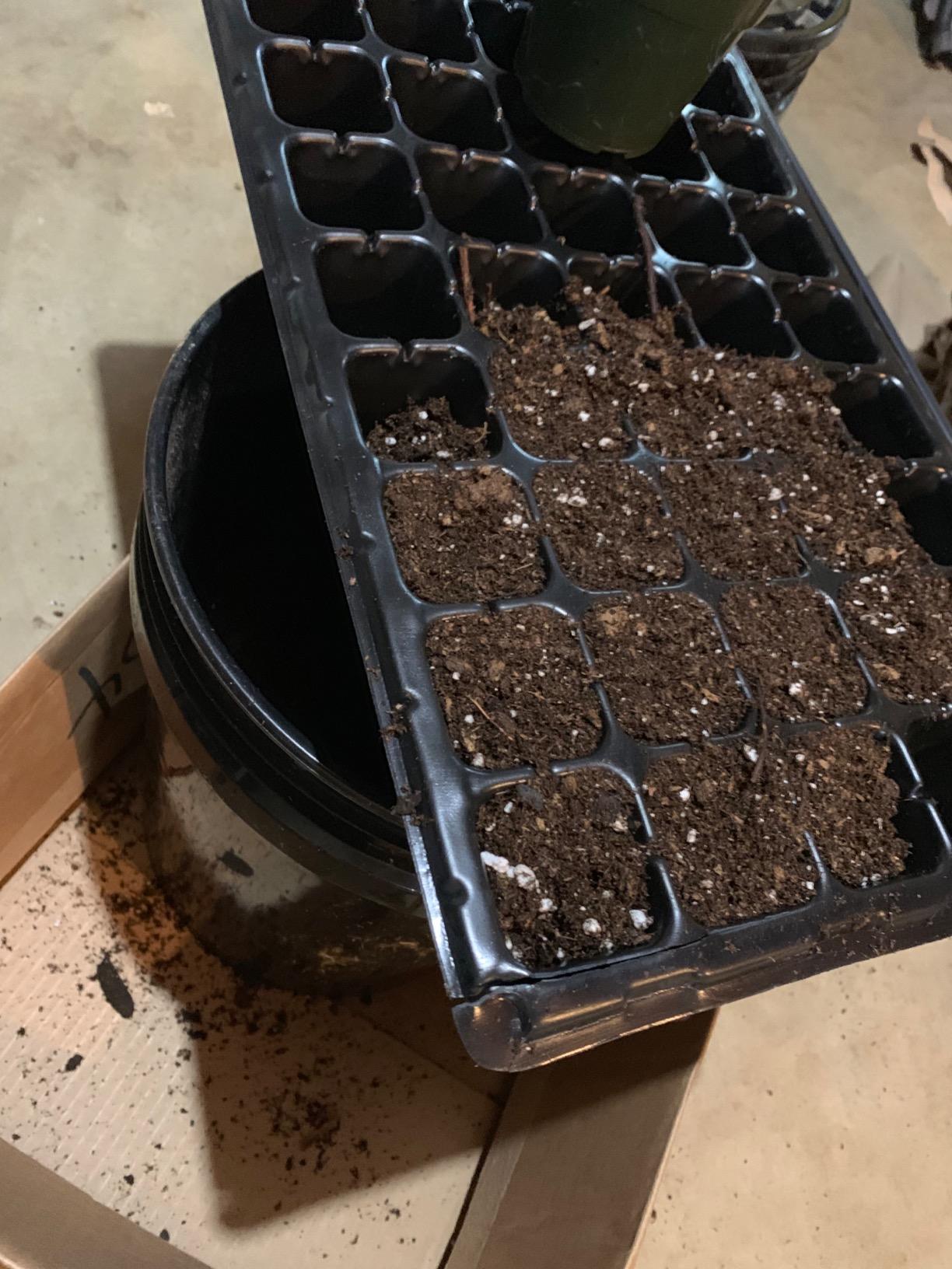 Bootstrap Farmer Extra Strength Seed Starter Kit, 2 Pack Combo, 2 of Each - 1020 Tray, Humidity Dome, 50 Cell Plug Tray customer photo 1