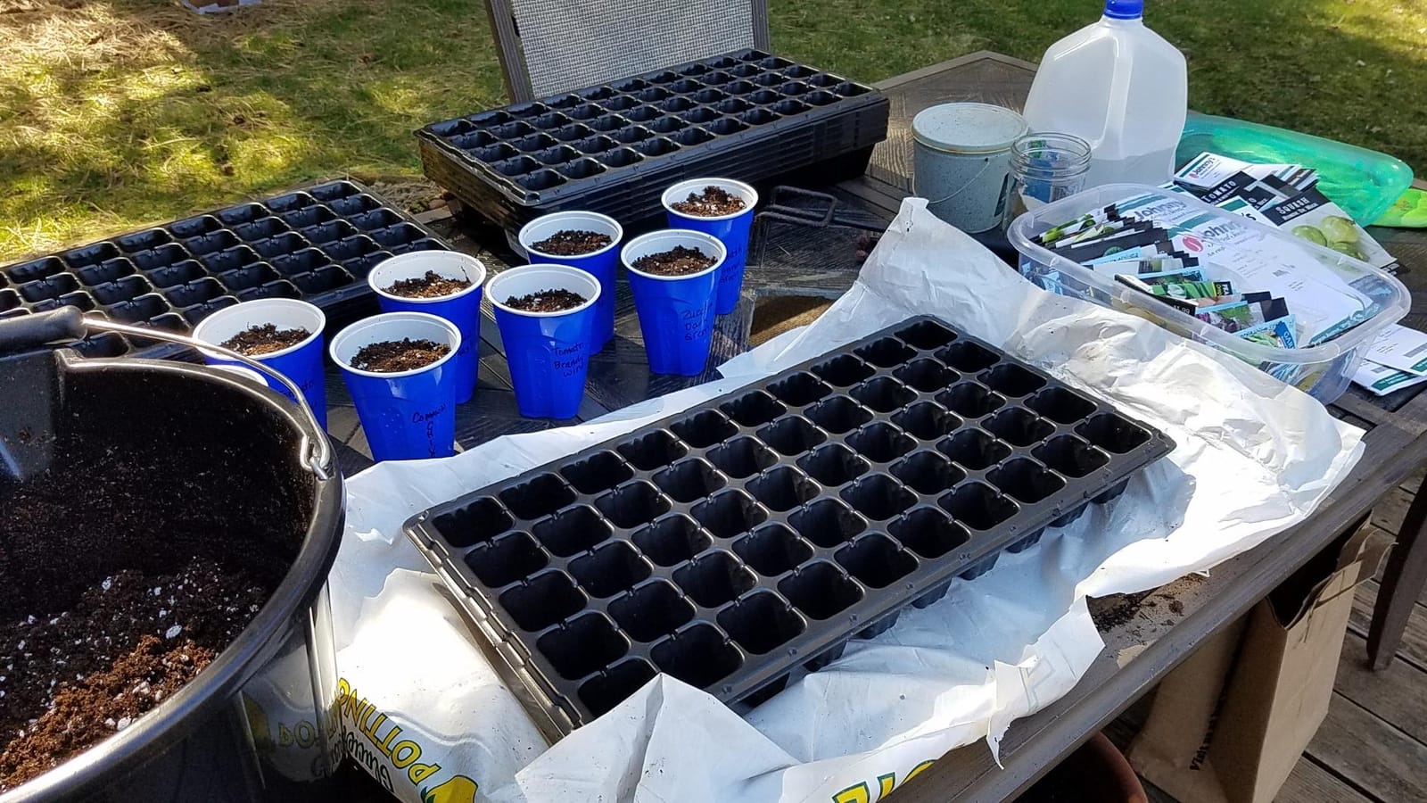 Bootstrap Farmer Extra Strength Seed Starter Kit, 2 Pack Combo, 2 of Each - 1020 Tray, Humidity Dome, 50 Cell Plug Tray customer photo 2