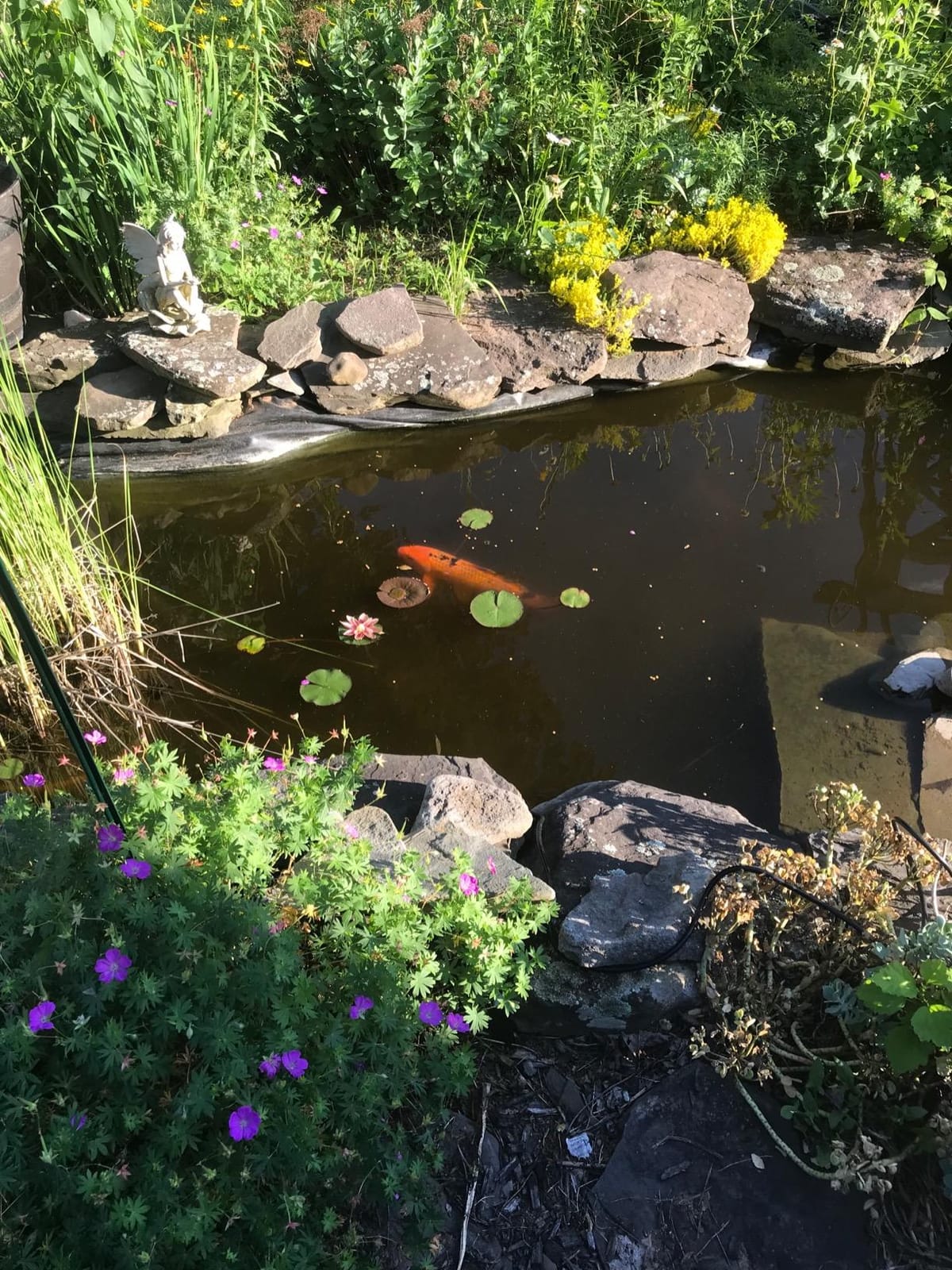 Aquascape Pro Air 20 Pond Aerator and Aeration Kit with Tubing and Self-Cleaning Diffuser, Out-Door Rated| 61009 customer photo 1