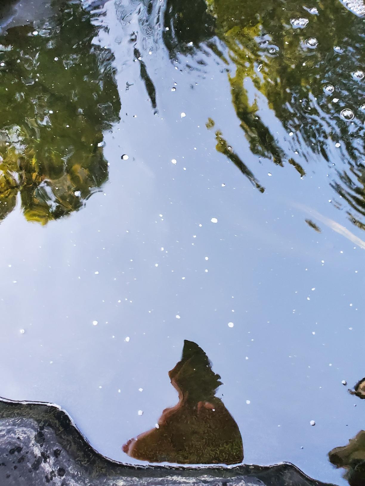 Aquascape Pro Air 20 Pond Aerator and Aeration Kit with Tubing and Self-Cleaning Diffuser, Out-Door Rated| 61009 customer photo 2