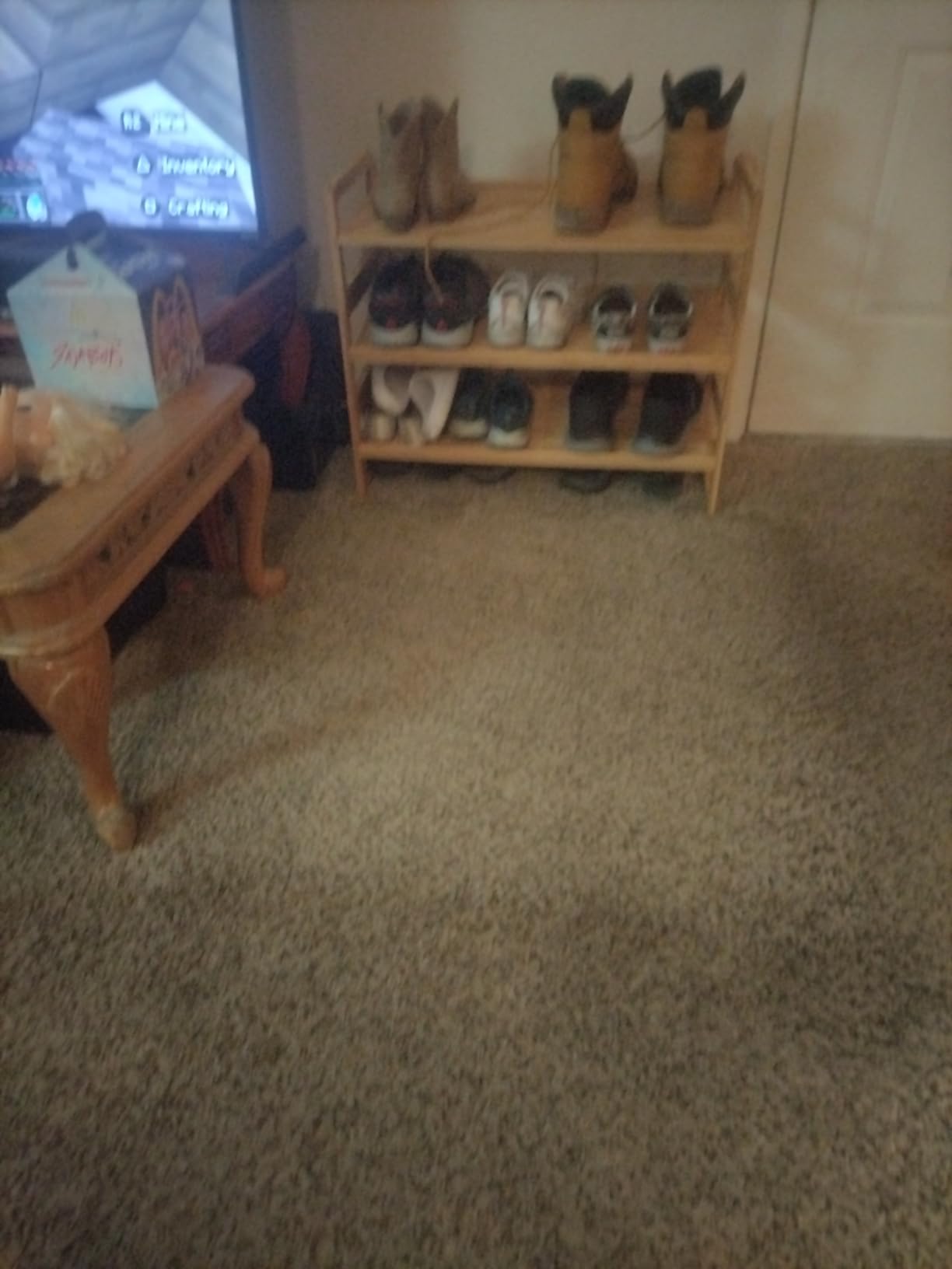 Bissell CrossWave Pet Pro 2306A customer photo 2