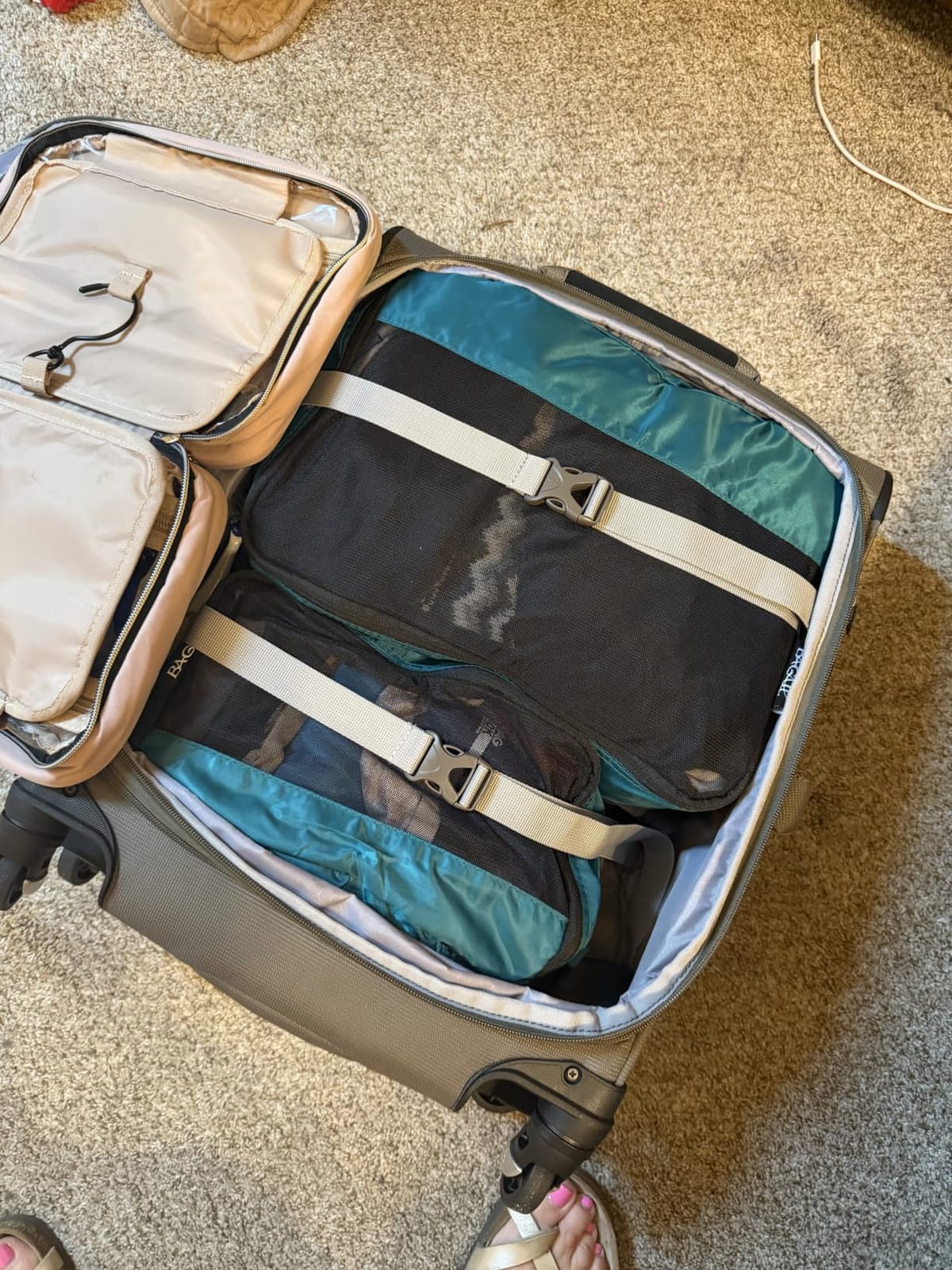 Travelpro Maxlite 5 Softside Checked Luggage Spinner, Black, 25-Inch customer photo 1