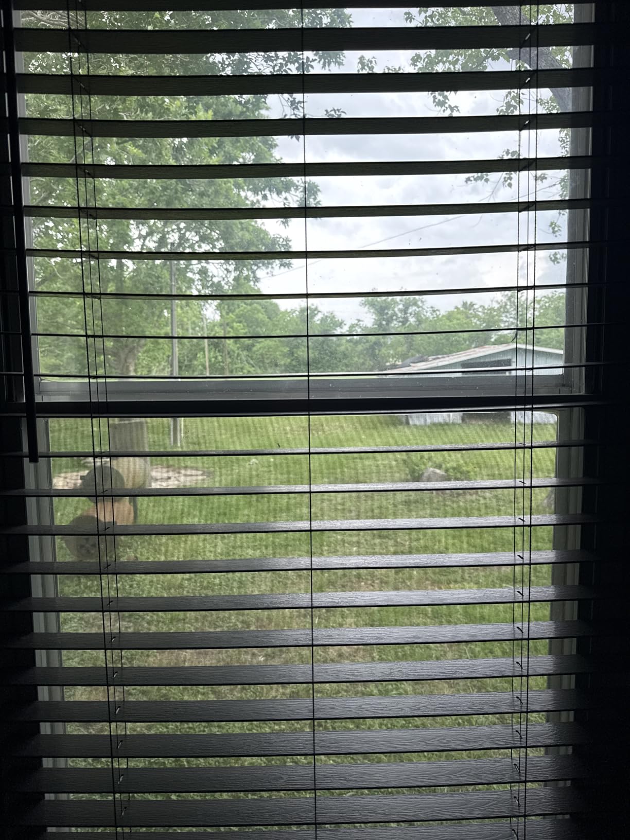 Cordless Room Darkening Plantation Blind, 32 x 64 in, White, Faux Wood customer photo 2