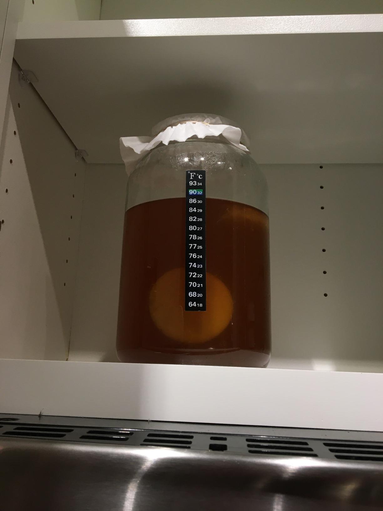 Kombucha Starter Kit with Everything to Brew Kombucha at Home. Kombucha Brewing Kit with SCOBY, Starter Tea, Organic Sugar, pH Strips, Thermometer Strip, Instructions, & More customer photo 2