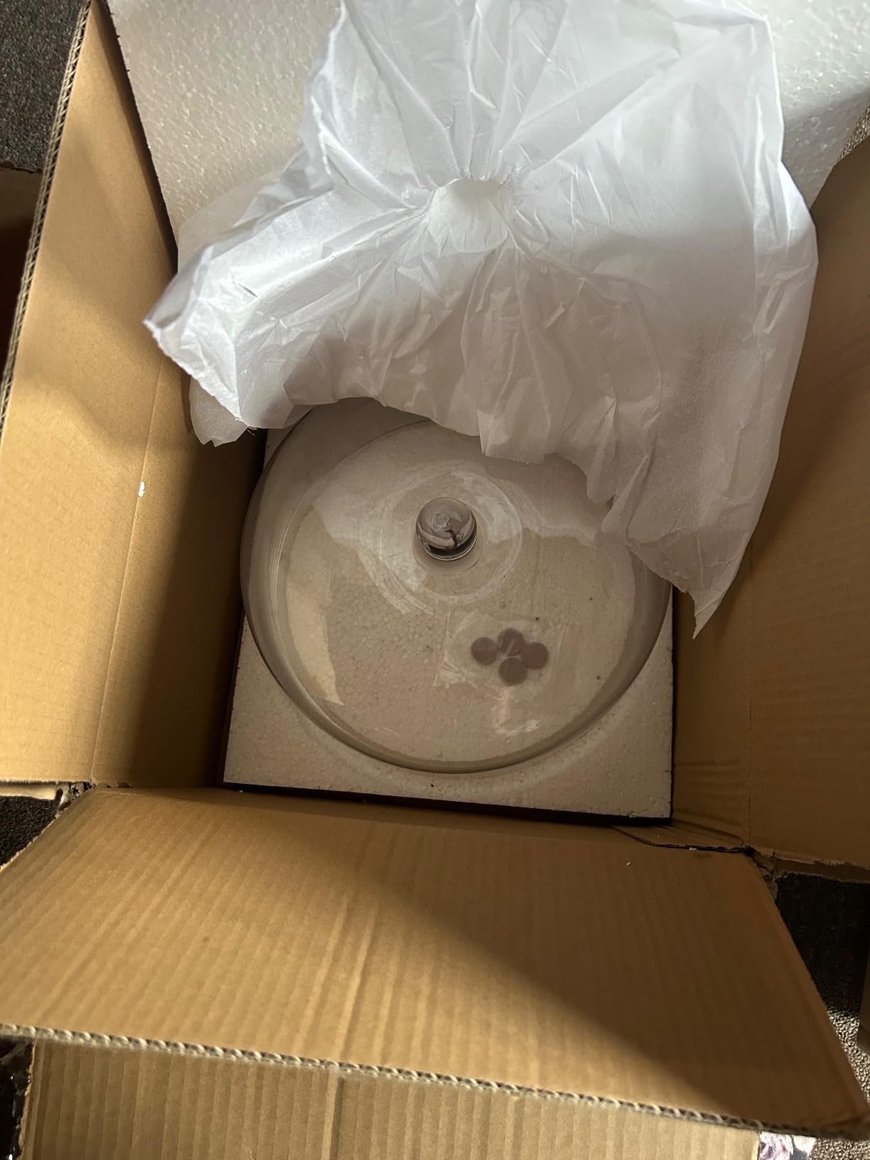 Marble Cake Stand with Glass Dome Cover customer photo 1