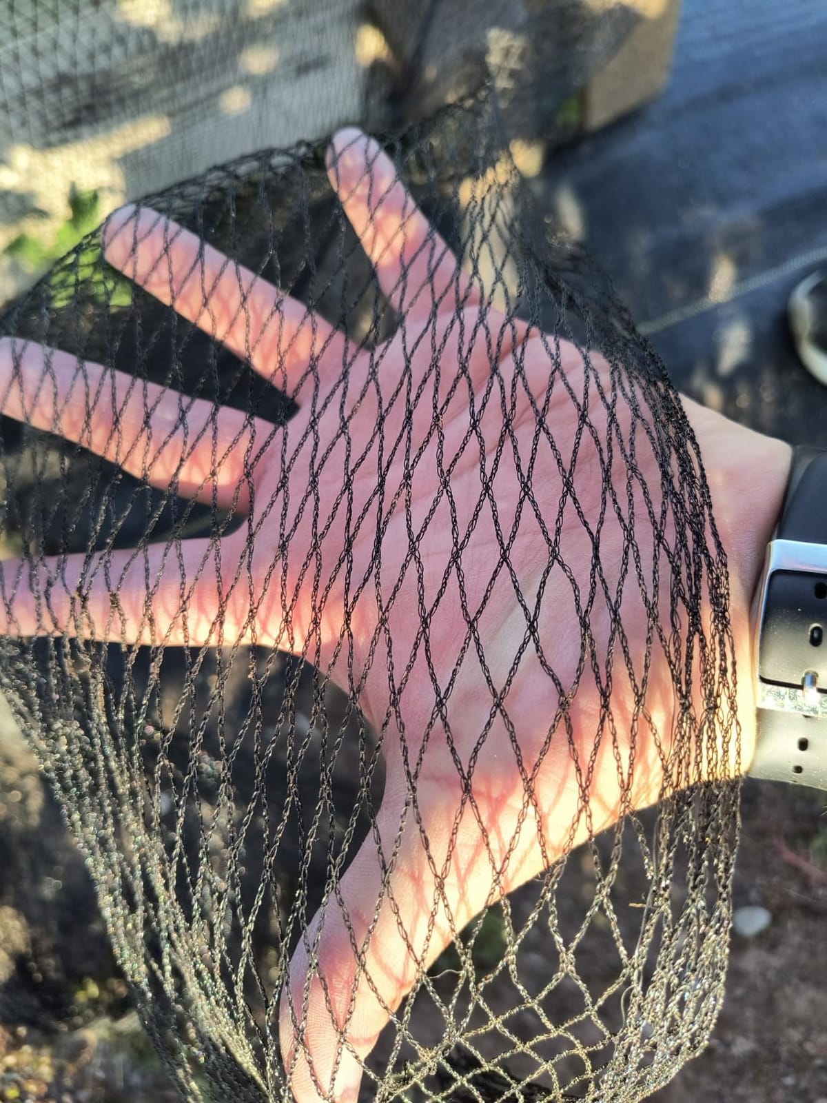 AlpineReach Garden Netting 7.5 x 65 ft, Black Heavy Duty Bird Net customer photo 1
