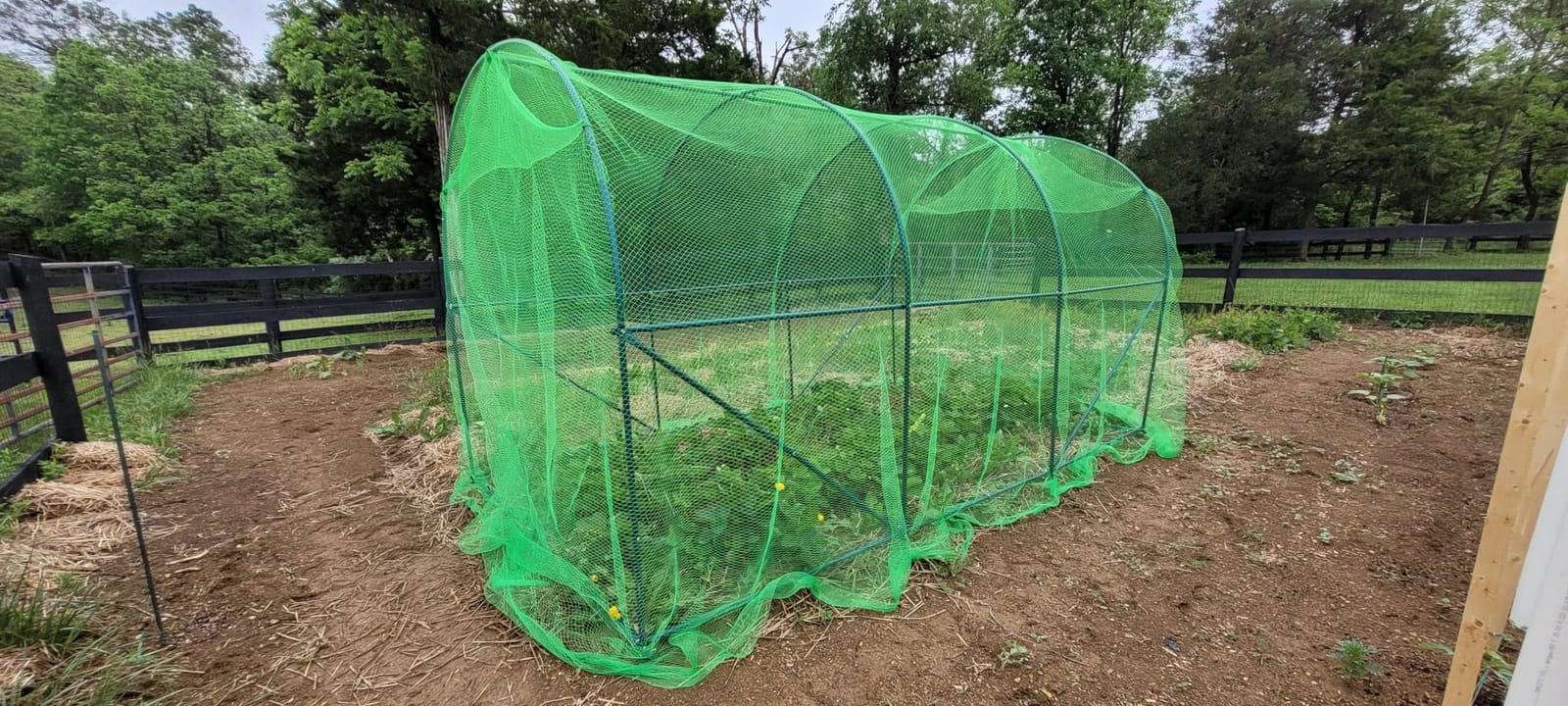 AlpineReach Garden Netting 7.5 x 65 ft, Black Heavy Duty Bird Net customer photo 2