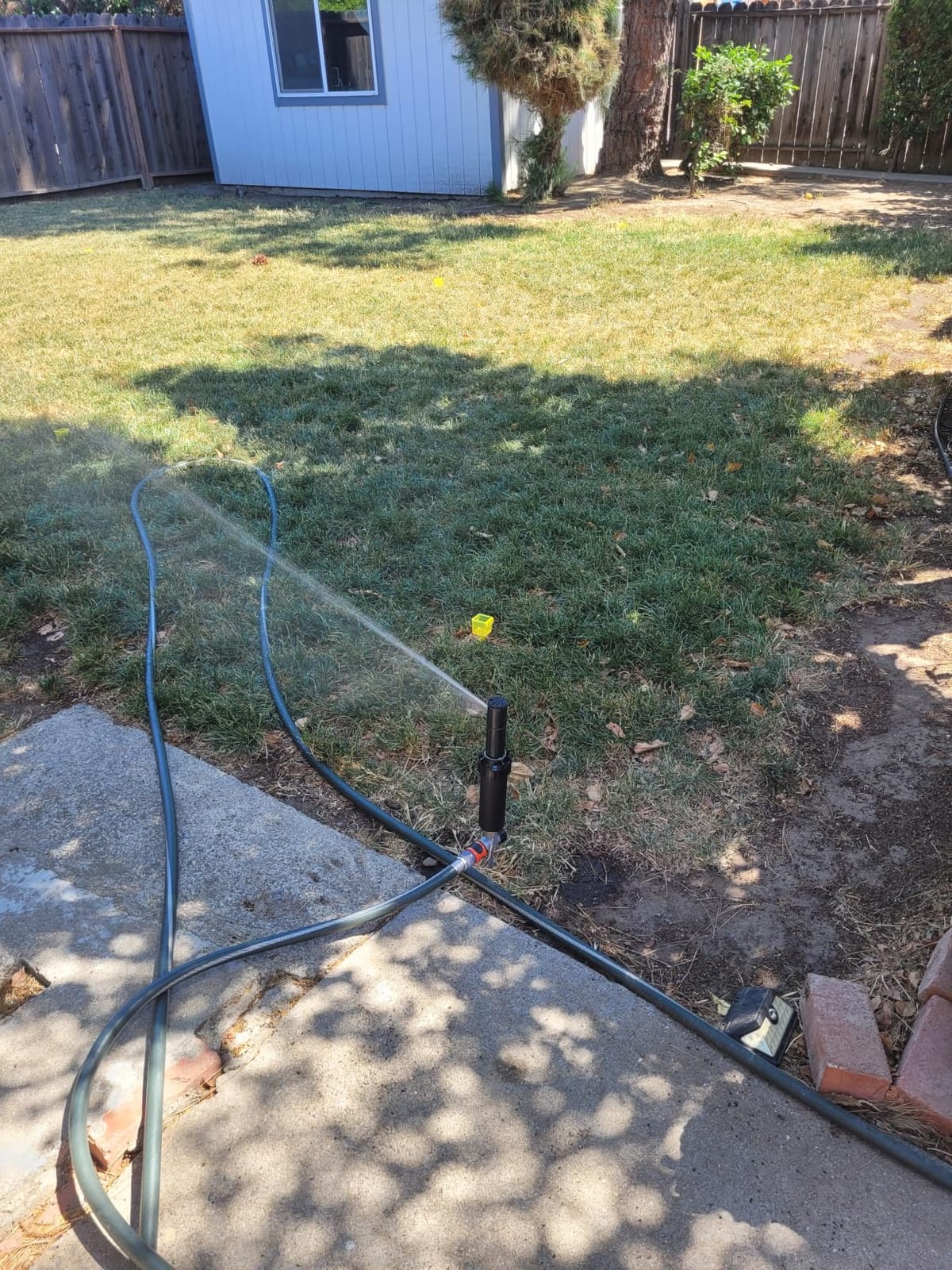 Rain-bird 5000 Series Rotor Sprinkler Head - 5004 PC Model, Adjustable 40-360 Degree Part-Circle, 4 Inch Pop-Up Lawn Sprayer Irrigation System - 25 to 50 Feet Water Spray Distance (Y54007) (6 Pack) customer photo 2