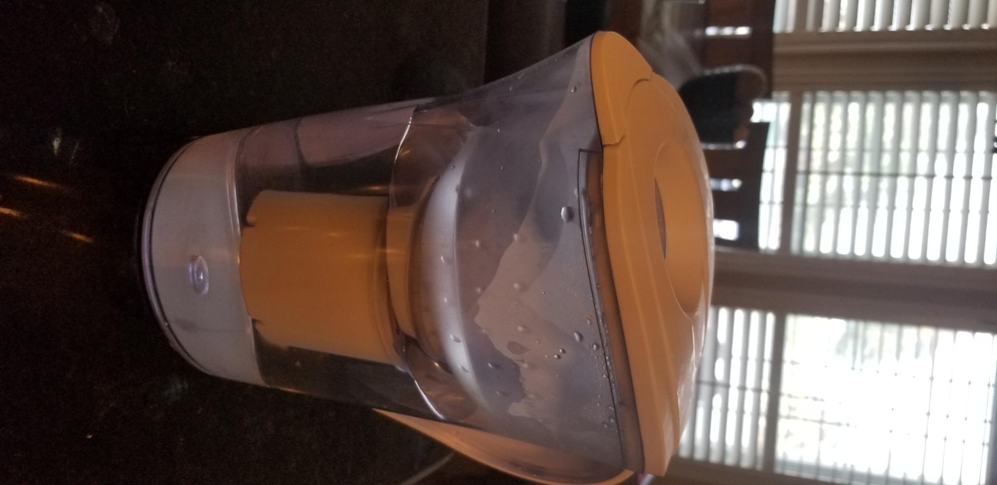 Invigorated Water High pH Alkaline Water Filter Pitcher, 15-Cup, White customer photo 2