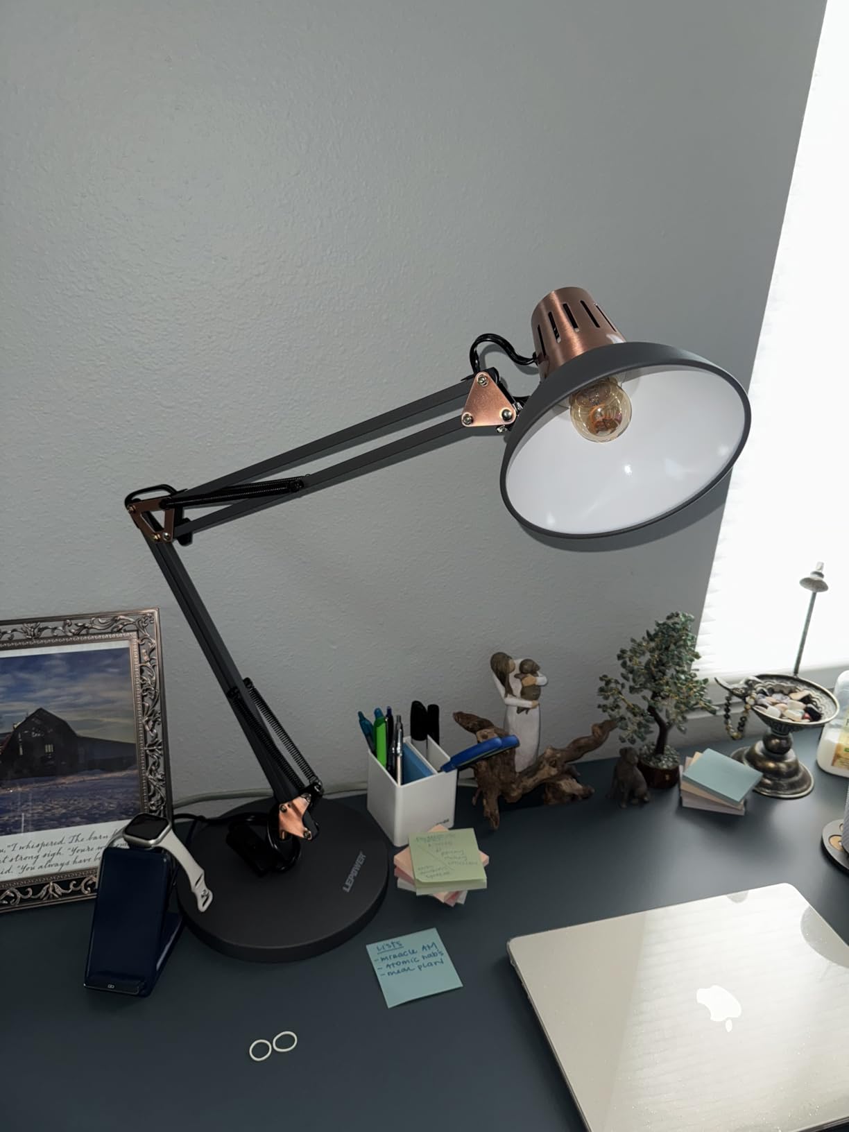 LEPOWER Metal Adjustable Desk Lamp with Clamp, Swing Arm for Home Office customer photo 1