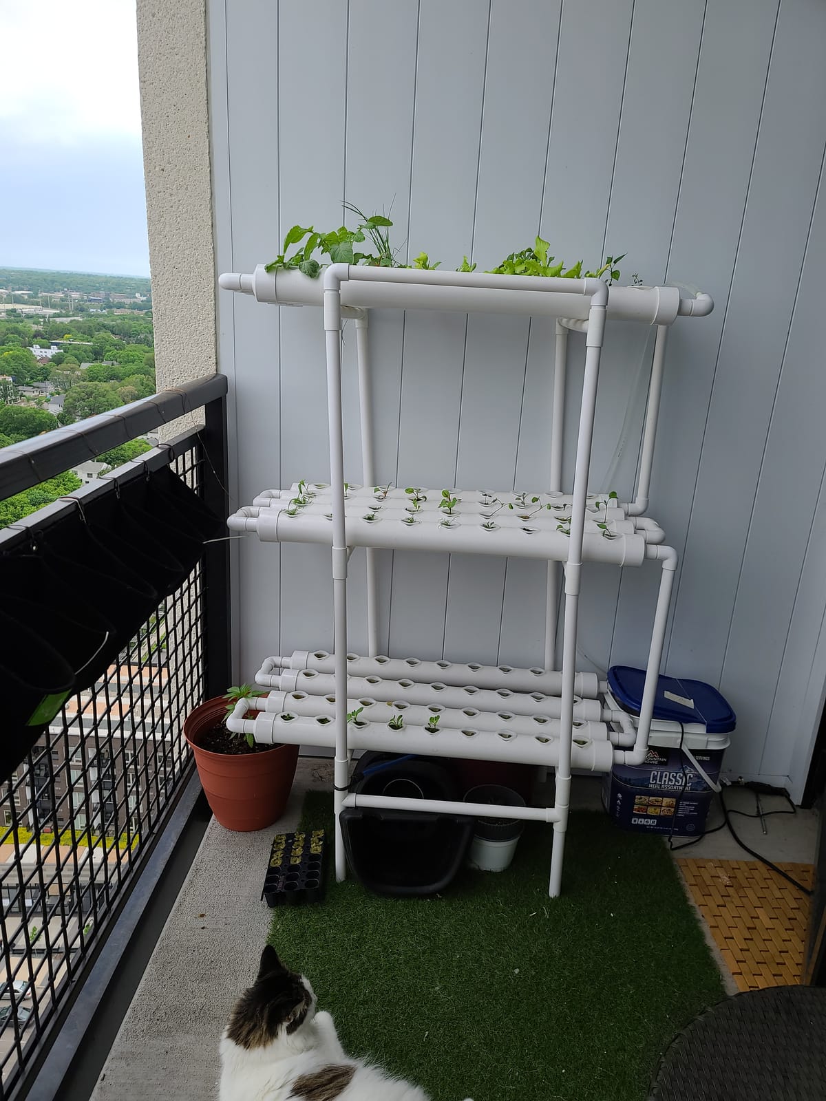 Hydroponic Growing System NFT with Timer Control, PVC Pipe 108 Planting Hole, Garden Water Culture Plant Salad Vegetable with Timer, Square Net Pot, Sponge customer photo 1