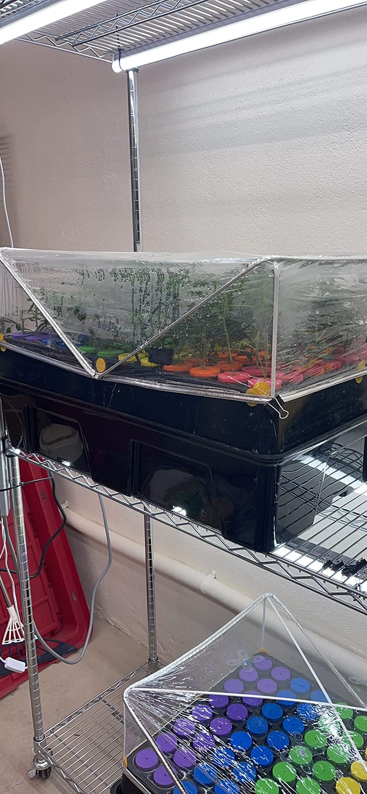 Clone Machine 96 Site, Aeroponic Cloning System Using 2 in Neoprene Insert Collars with Free Cloner Humidity Dome for Plant Cutting Propagation customer photo 1
