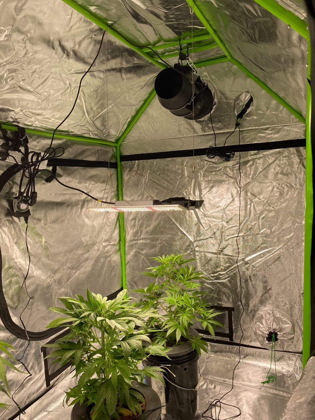 VIVOSUN S105 10x5 Grow Tent Large Mylar Tents 120