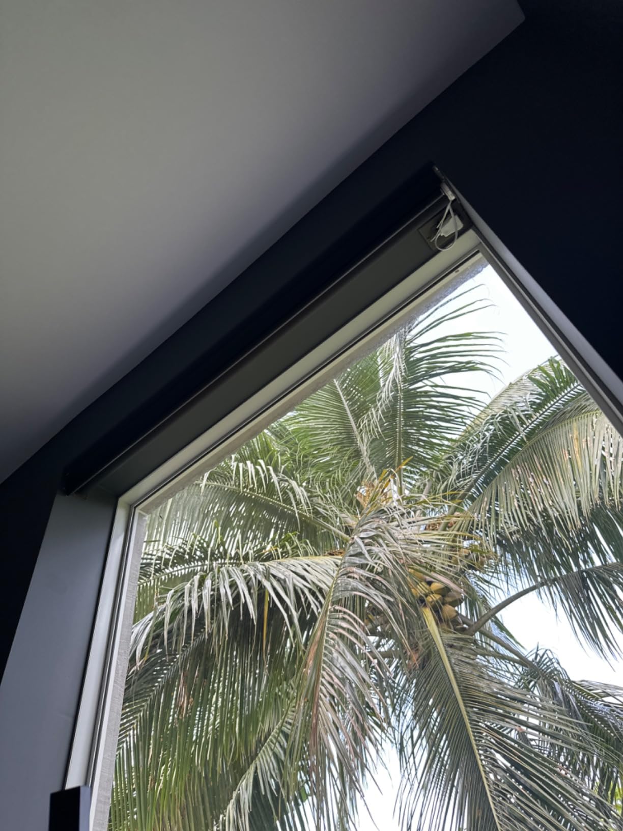 Graywind Motorized Shades 100% Blackout Compatible with Alexa Google WiFi Smart Hardwired Window Shade Remote Control Thermal Insulated Electric Blinds, Customized Size (Matt Black) customer photo 2