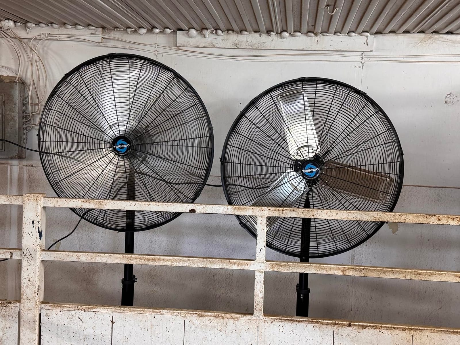Tornado 8850 CFM 30 Inch Pedestal Fan Non-Oscillating High Velocity Fan Stationary, 3 Speed 10 FT Cord Metal, Commercial, Industrial Use, UL Safety Listed customer photo 1