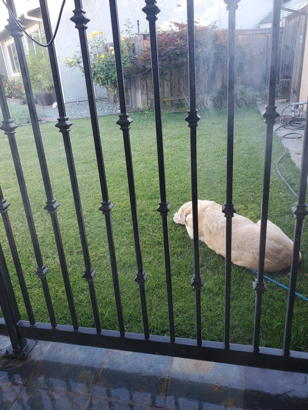 homenote Misting Cooling System, 59FT Pre-Assembled Mister Kit customer photo 2