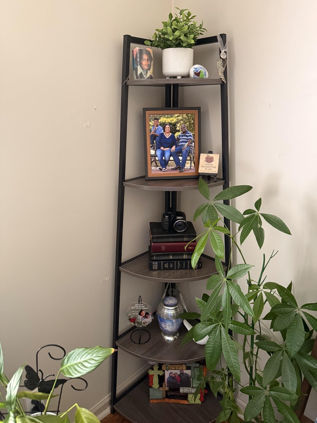 Tribesigns 70 inch Tall Corner Shelf, 5 Tier Rustic Corner Bookshelf Bookcase Industrial Corner Ladder Shelf Plant Stand for Living Room, Kitchen, Home Office (Brown) customer photo 2