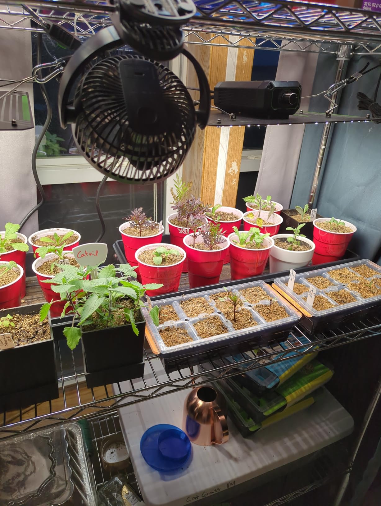 VIVOSUN LumaLight 100W LED Grow Light, Full Spectrum Plant Light customer photo 2