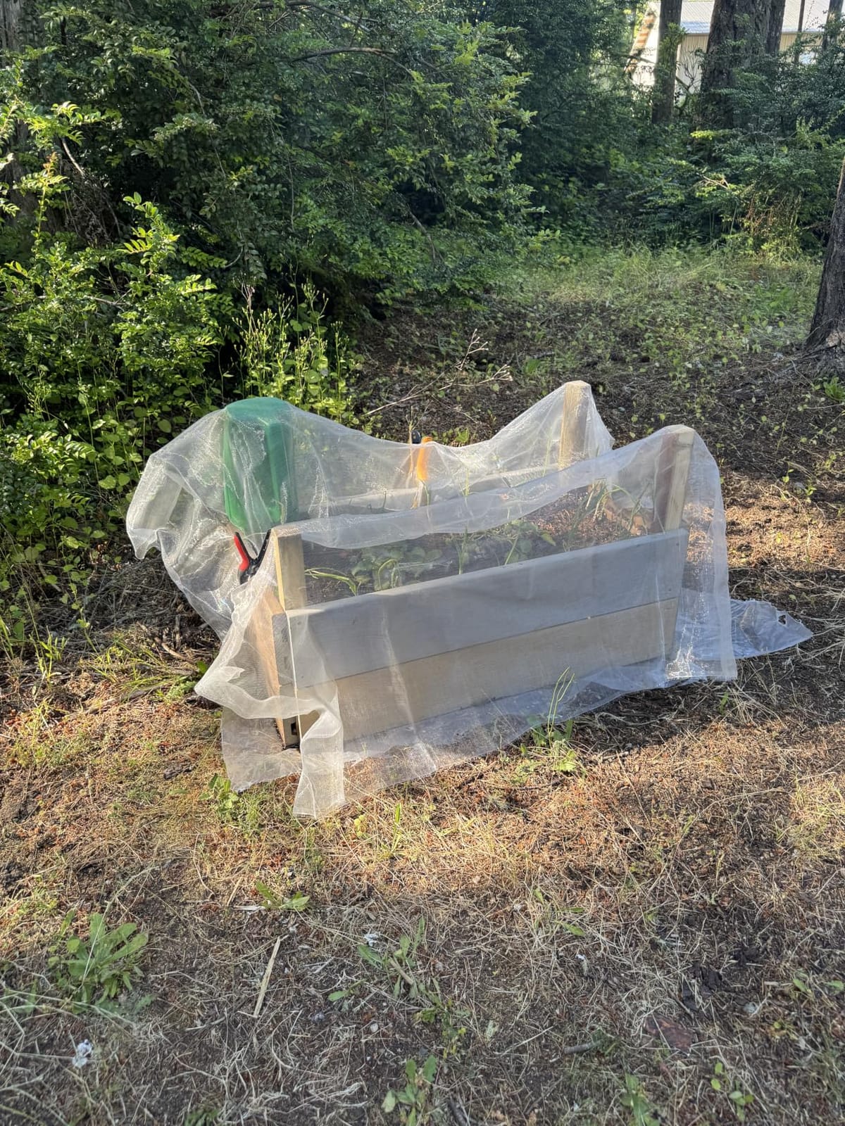 Garden Netting Pest Barrier: 4'x10' Fine Bug Netting customer photo 1