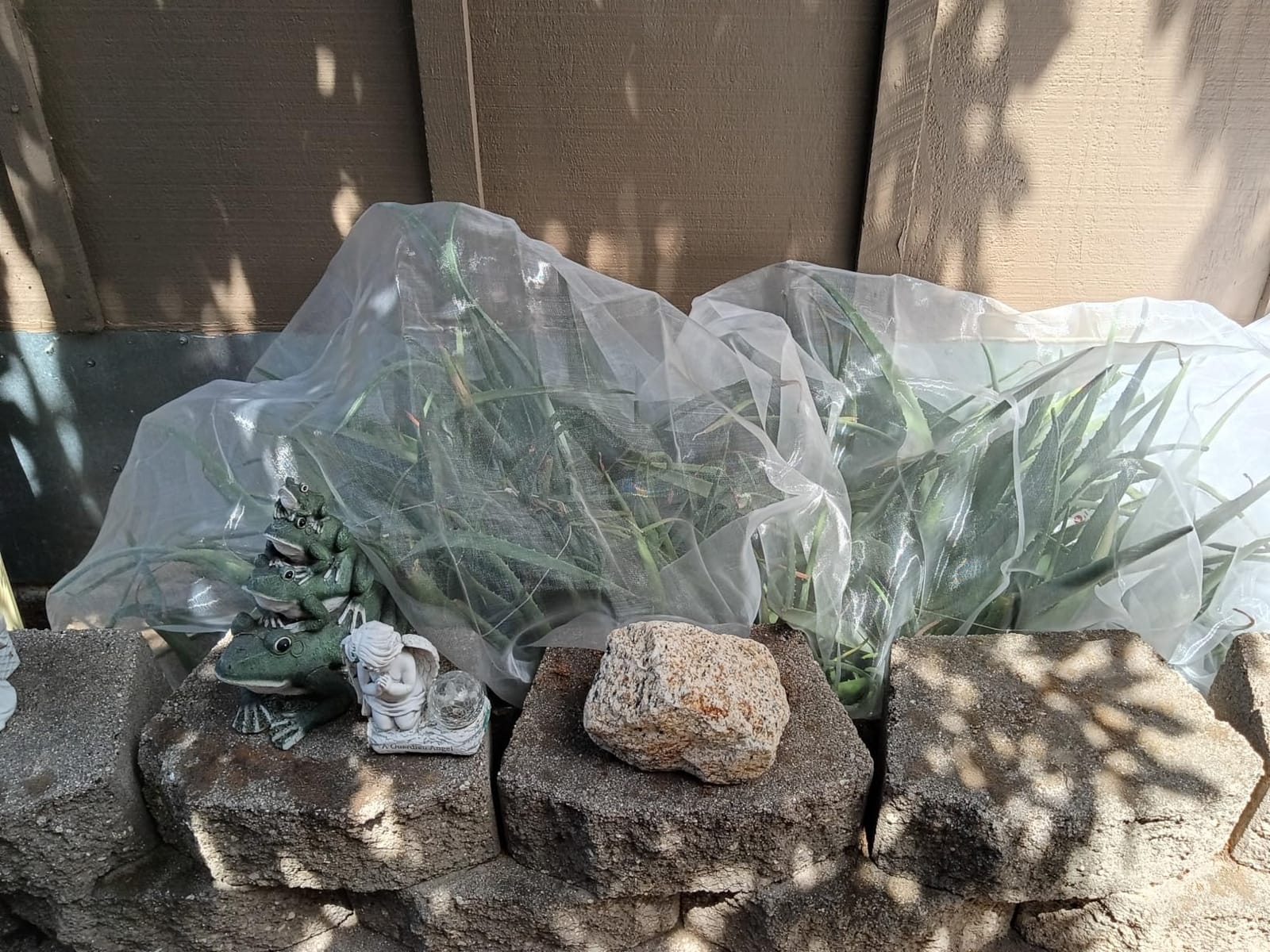 Garden Netting Pest Barrier: 4'x10' Fine Bug Netting customer photo 2