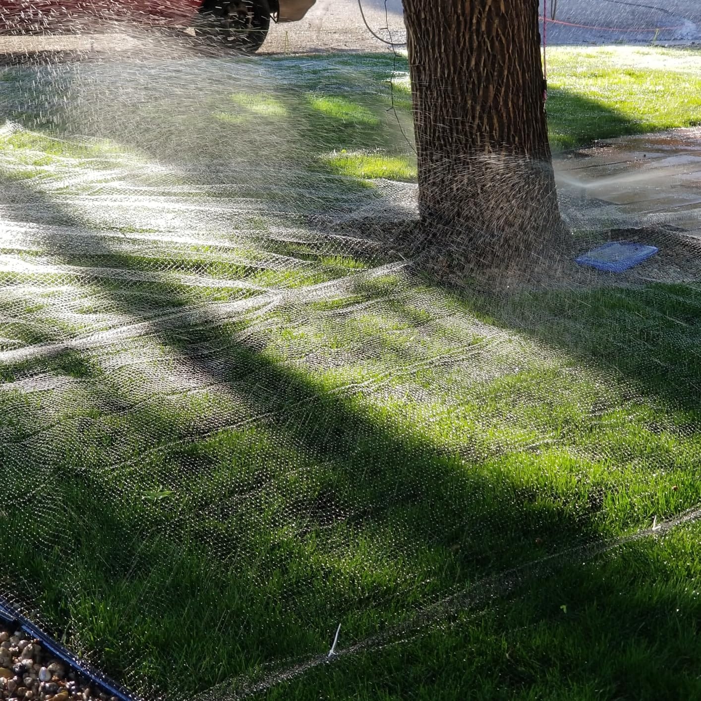 POYEE Bird Netting, 7.5x100FT Heavy Duty Garden Netting customer photo 1