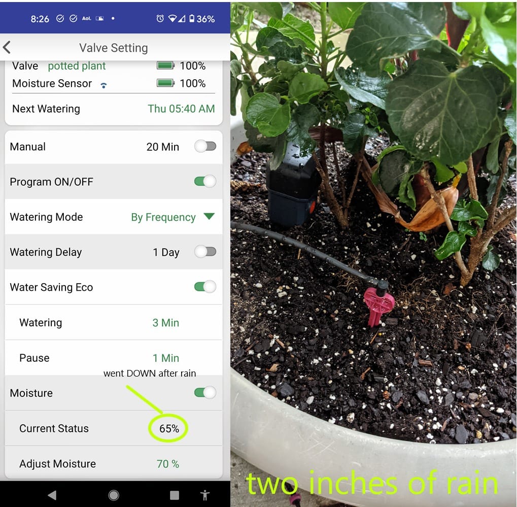Eden 25417 Wireless Soil Moisture Sensor for Bluetooth Timer customer photo 1