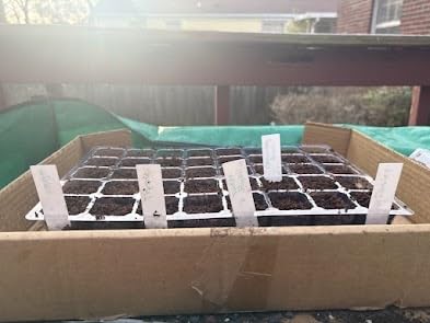 MIXC 5 Pack Seed Starter Tray, 200Cell Mini Propagator Greenhouse Grow Kit customer photo 1