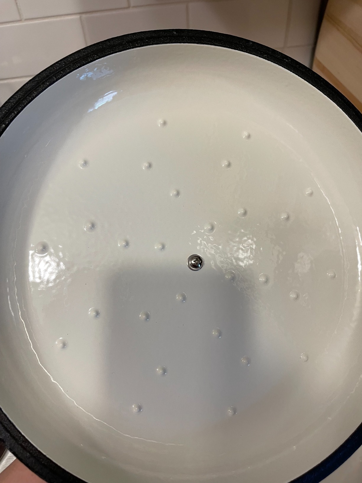 3.8 Quart Enameled Cast Iron Braiser Pan with Lid, Shallow Dutch Oven, Teal customer photo 2