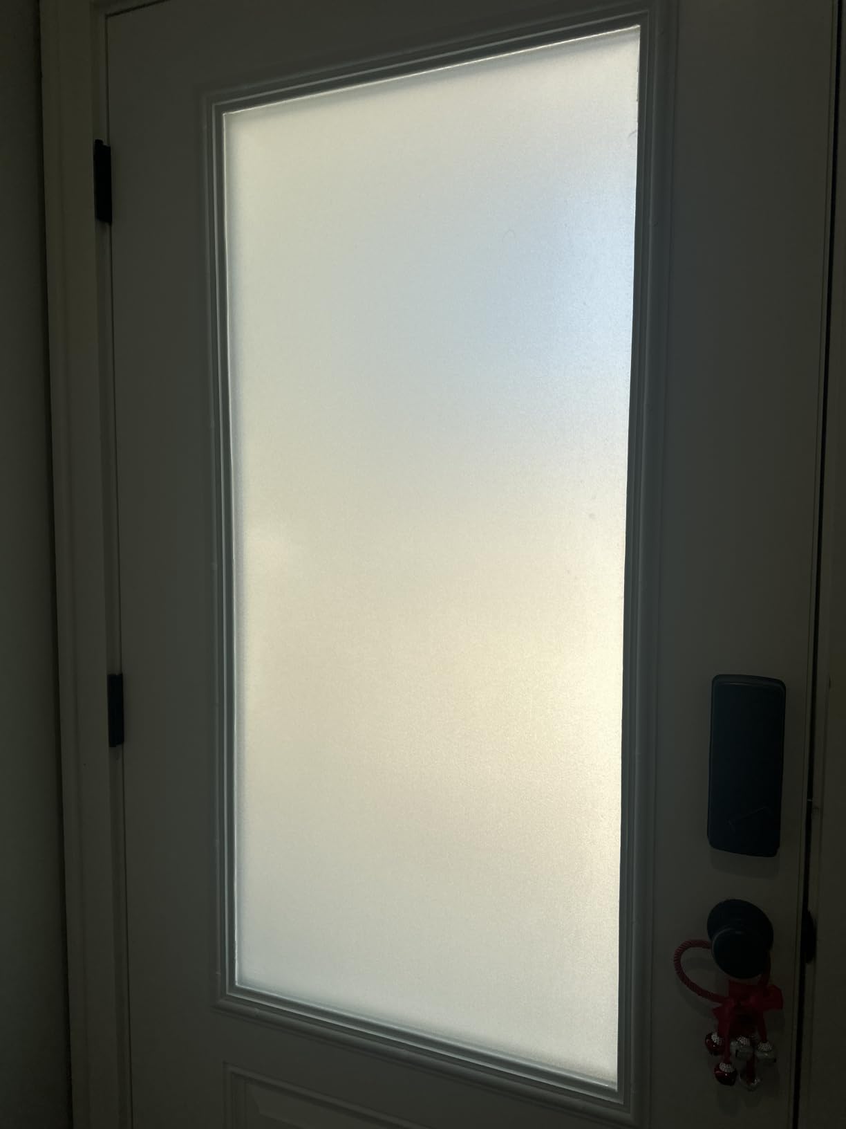 HIDBEA Frosted Window Privacy Film, Non Adhesive, 23.6 x 78.7 Inch customer photo 2