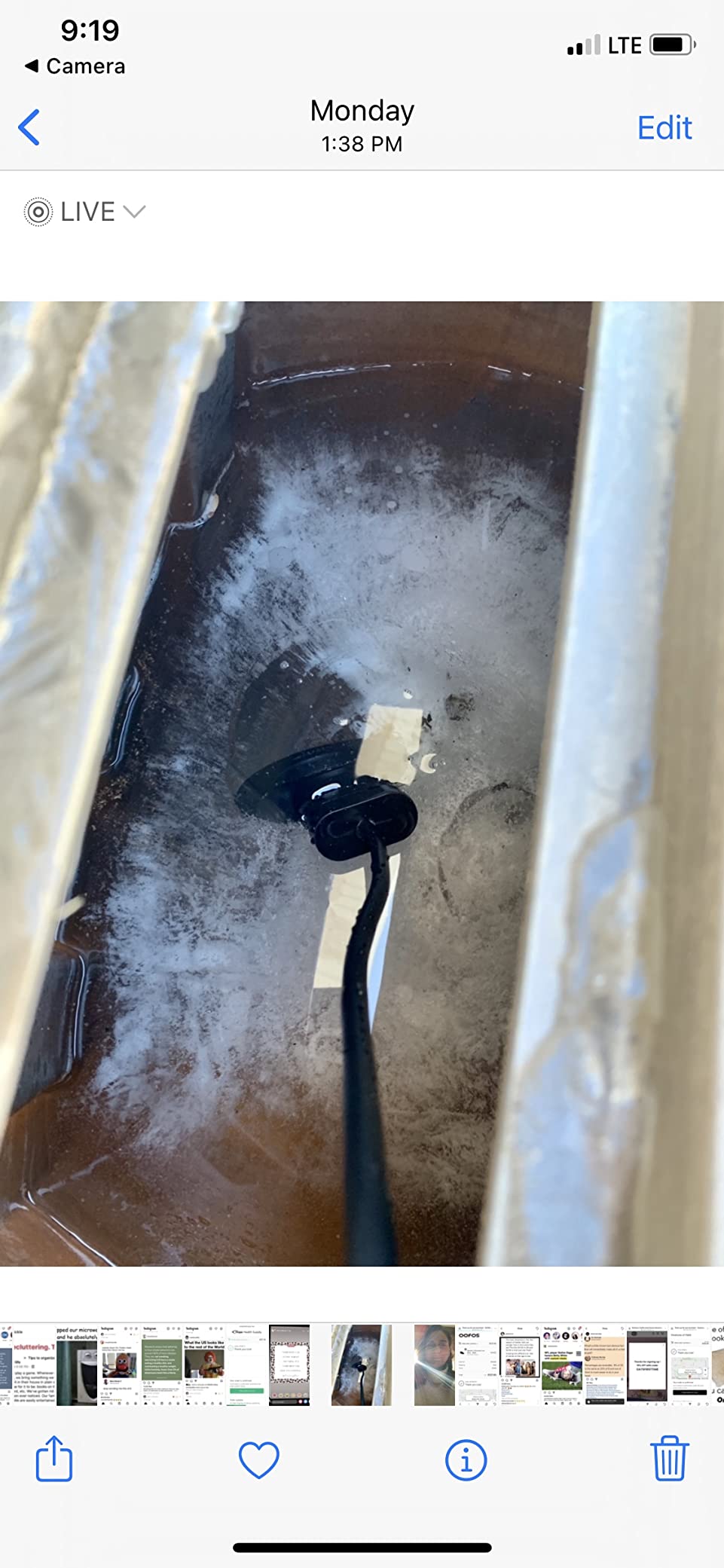 Upgraded 500-Watt Chicken Water Heater - Submergible Cast Aluminum Utility De-Icer with Black Teflon Coating for Livestock Tanks, Winter Bird Bath, and Mineral Buildup Resistance customer photo 1
