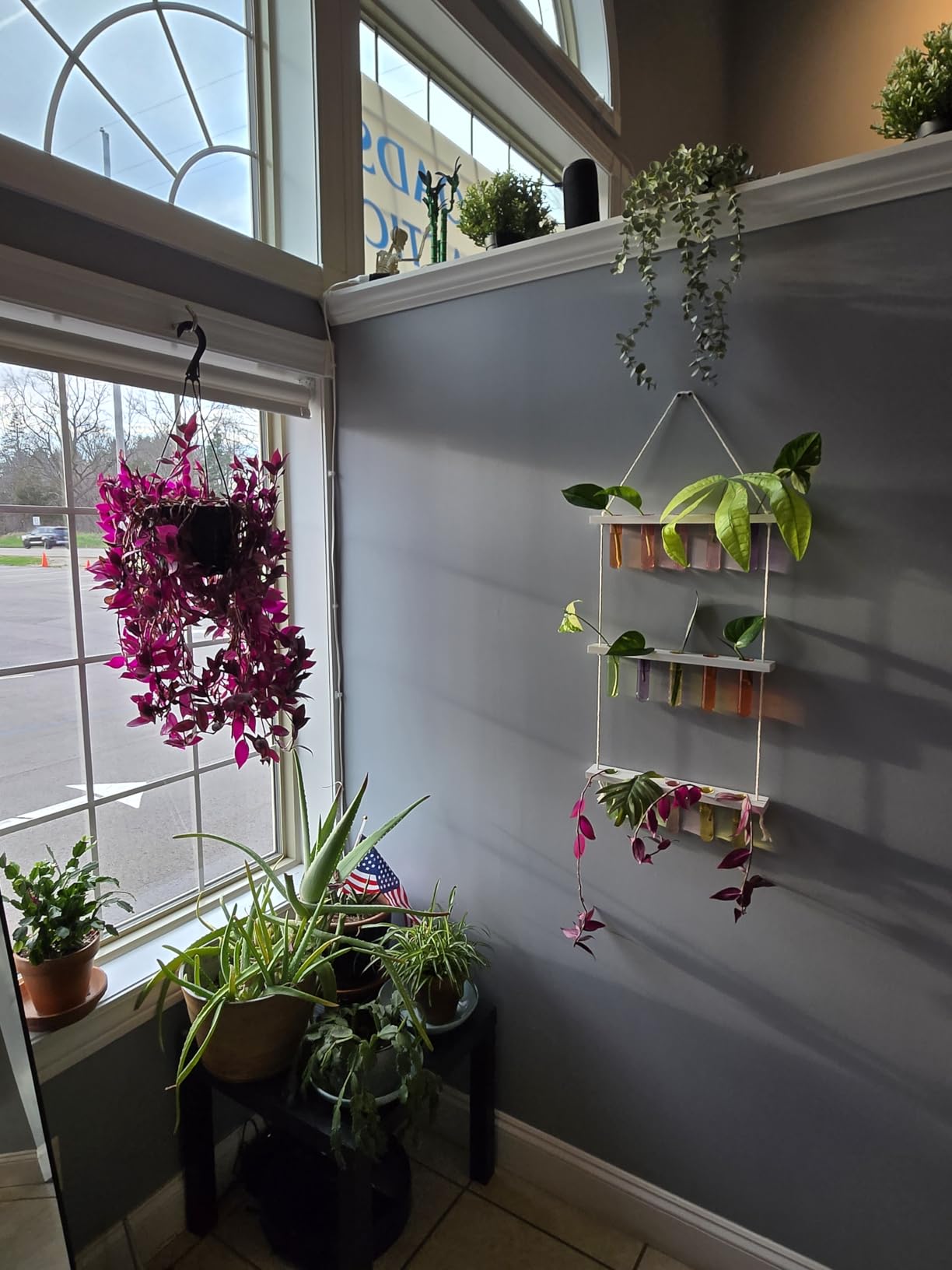 Mkono Plant Propagation Station, 3 Tier Brown Wall Hanging Vase Test Tubes customer photo 1