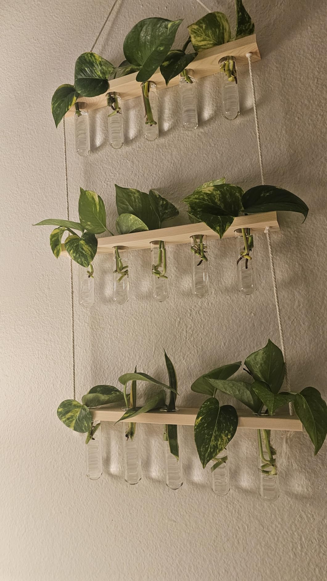 Mkono Plant Propagation Station, 3 Tier Brown Wall Hanging Vase Test Tubes customer photo 2