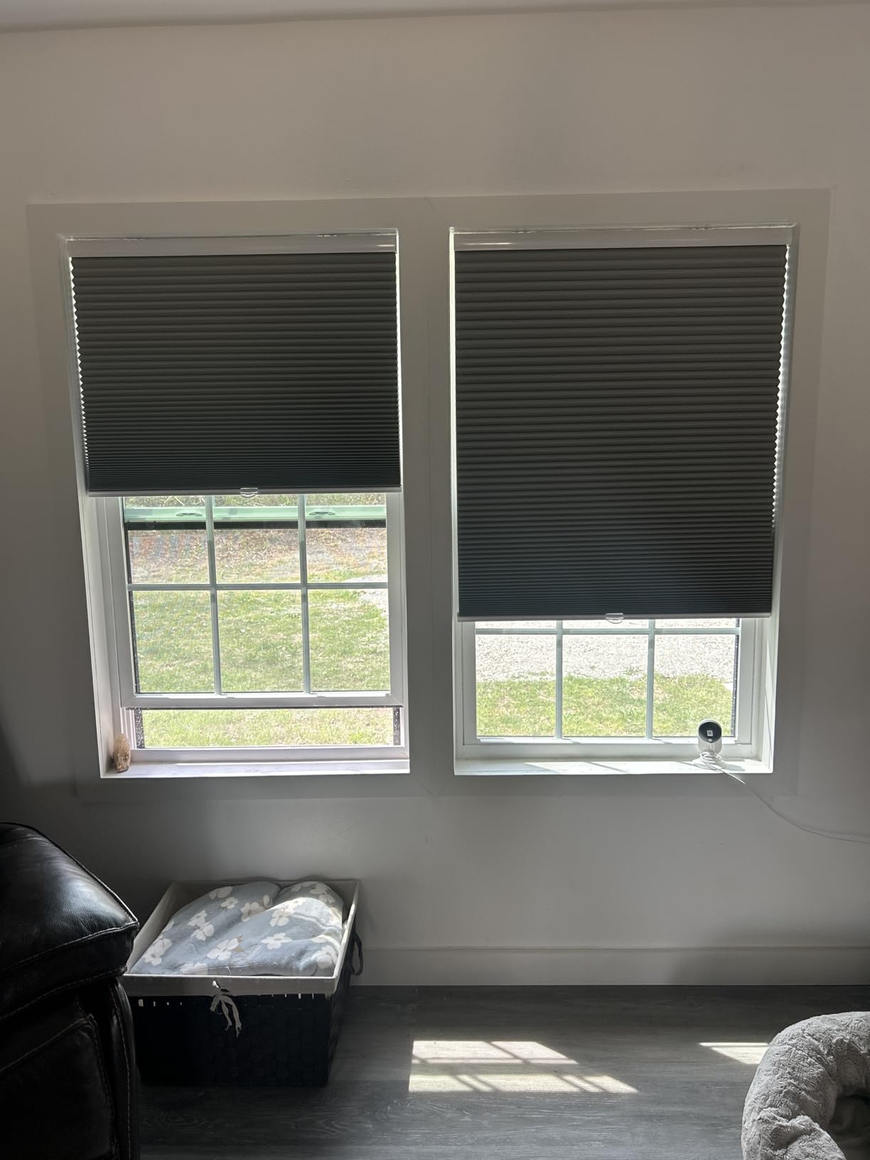 MYshade Cordless Blackout Cellular Shades for Windows, Honeycomb Window Shades with Thermal Insulation, Child & Pet Safe Room Darkening Shade, Easy Install,24
