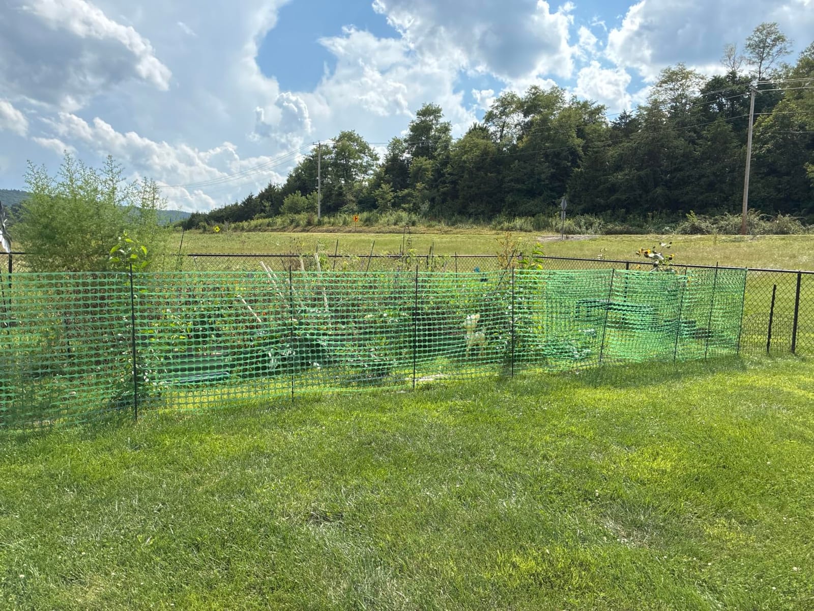 Fencing, Temporary Fence, Snow Fence, Chicken, Black, 4x100 FT, 10.55 LB customer photo 1
