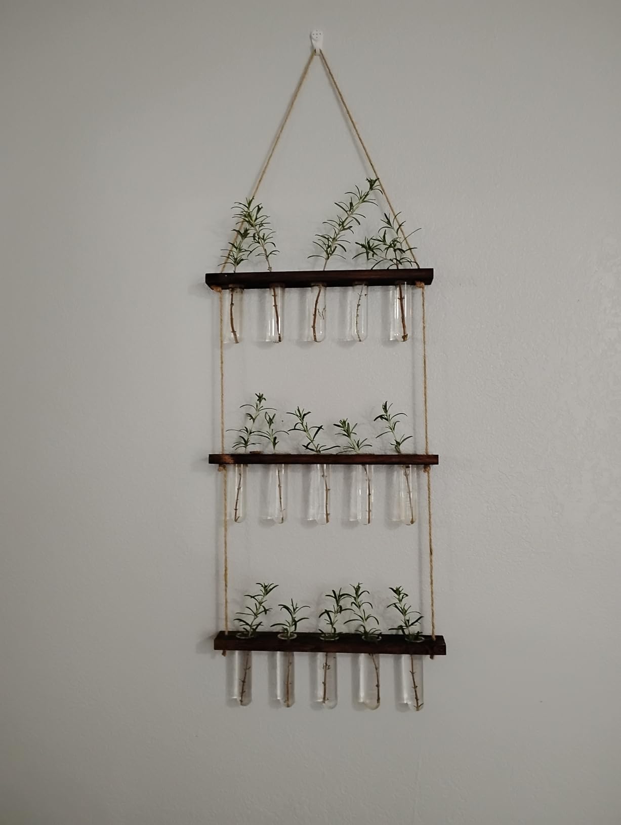 3 Tier Wall Hanging Propagation Stations with 15 Glass Test Tubes, Plant Terrarium Propagation Tubes Planter for Hydroponic Cuttings, Window Decor Gift for Plant Lovers customer photo 1