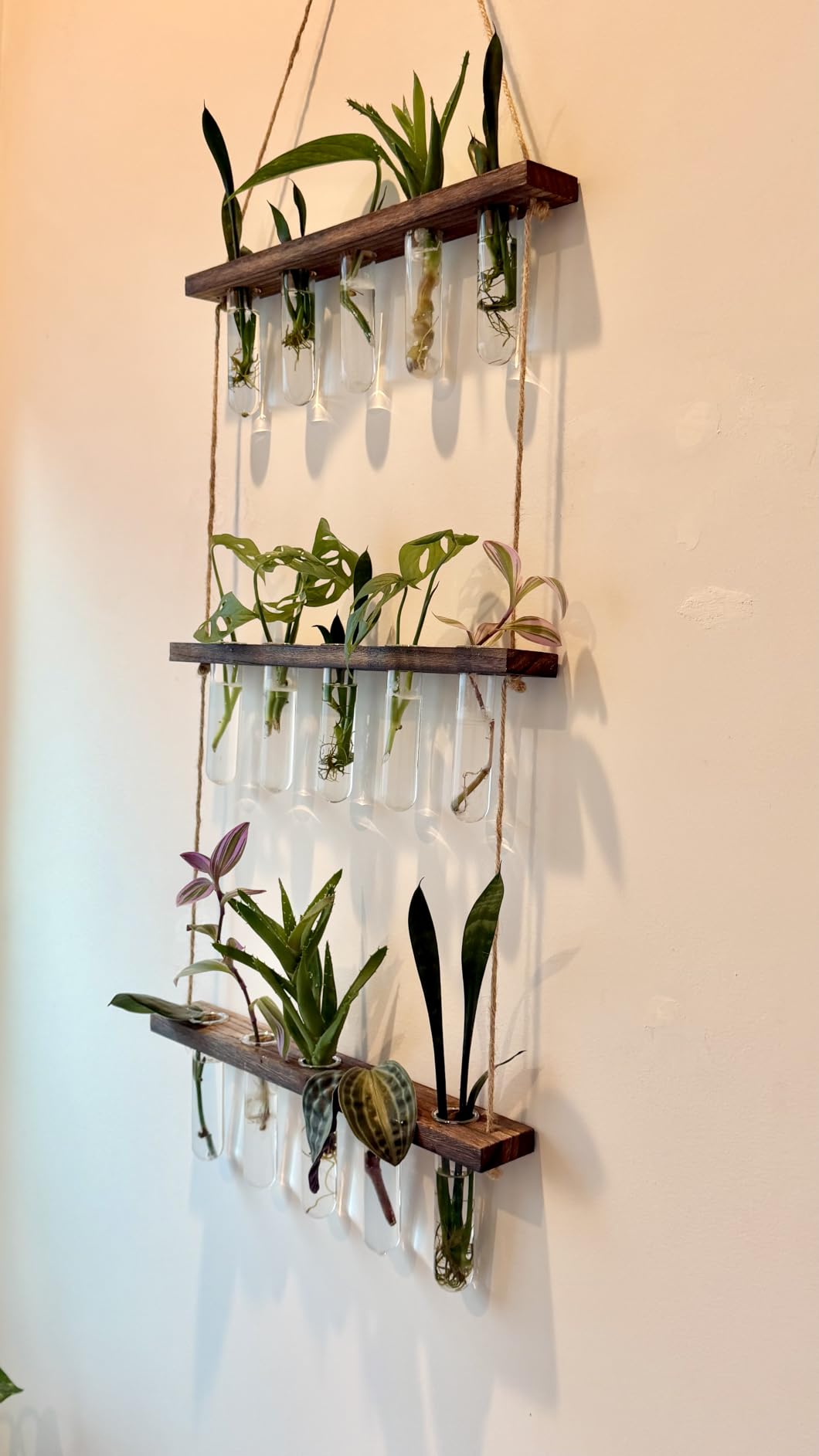 3 Tier Wall Hanging Propagation Stations with 15 Glass Test Tubes, Plant Terrarium Propagation Tubes Planter for Hydroponic Cuttings, Window Decor Gift for Plant Lovers customer photo 2