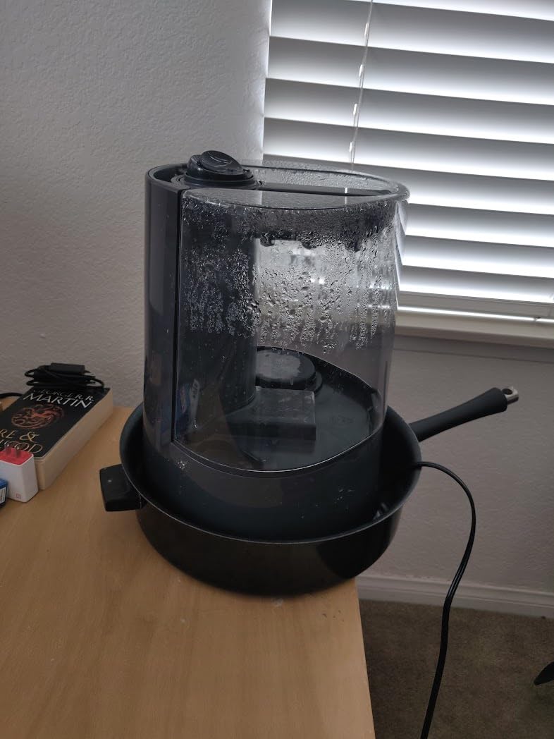 Honeywell Dual Comfort Cool + Warm Mist humidifier, Black, HWC775B customer photo 1
