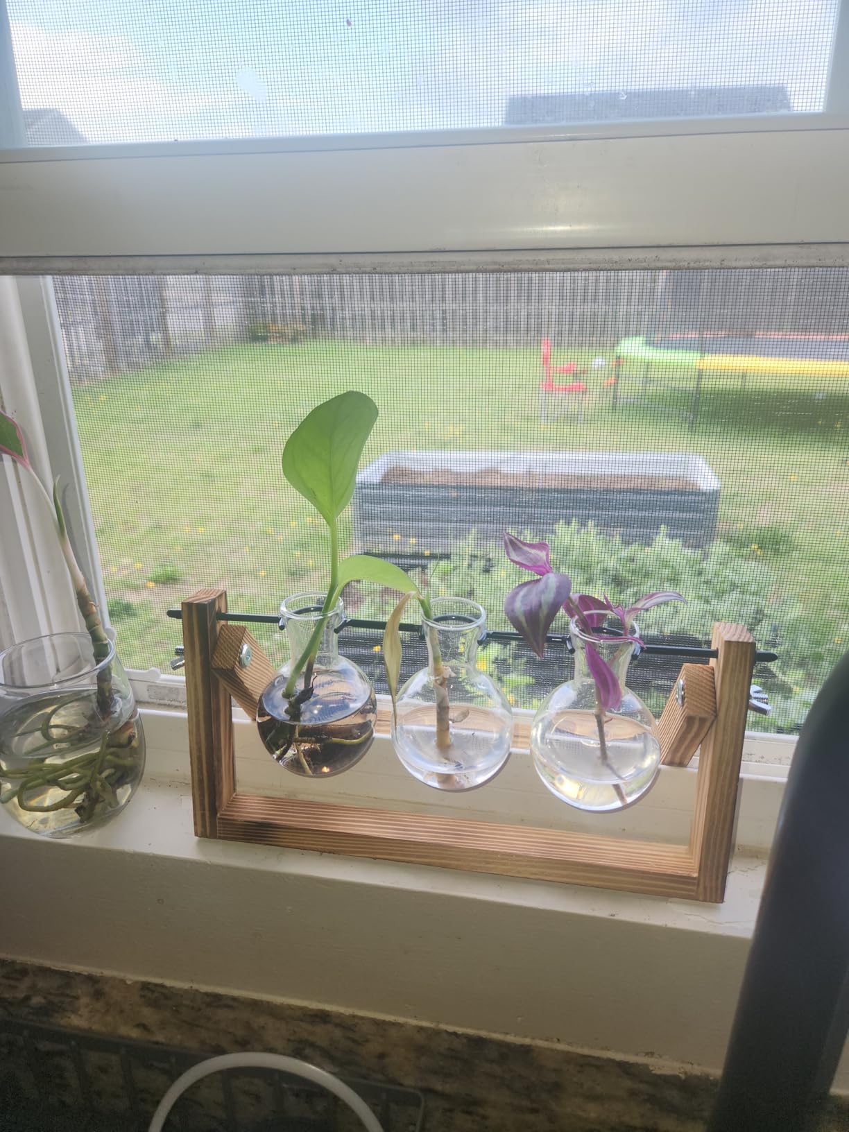 Renmxj Plant Propagation Stations with Wooden Stand & 5 Glass Bulb Vases customer photo 1